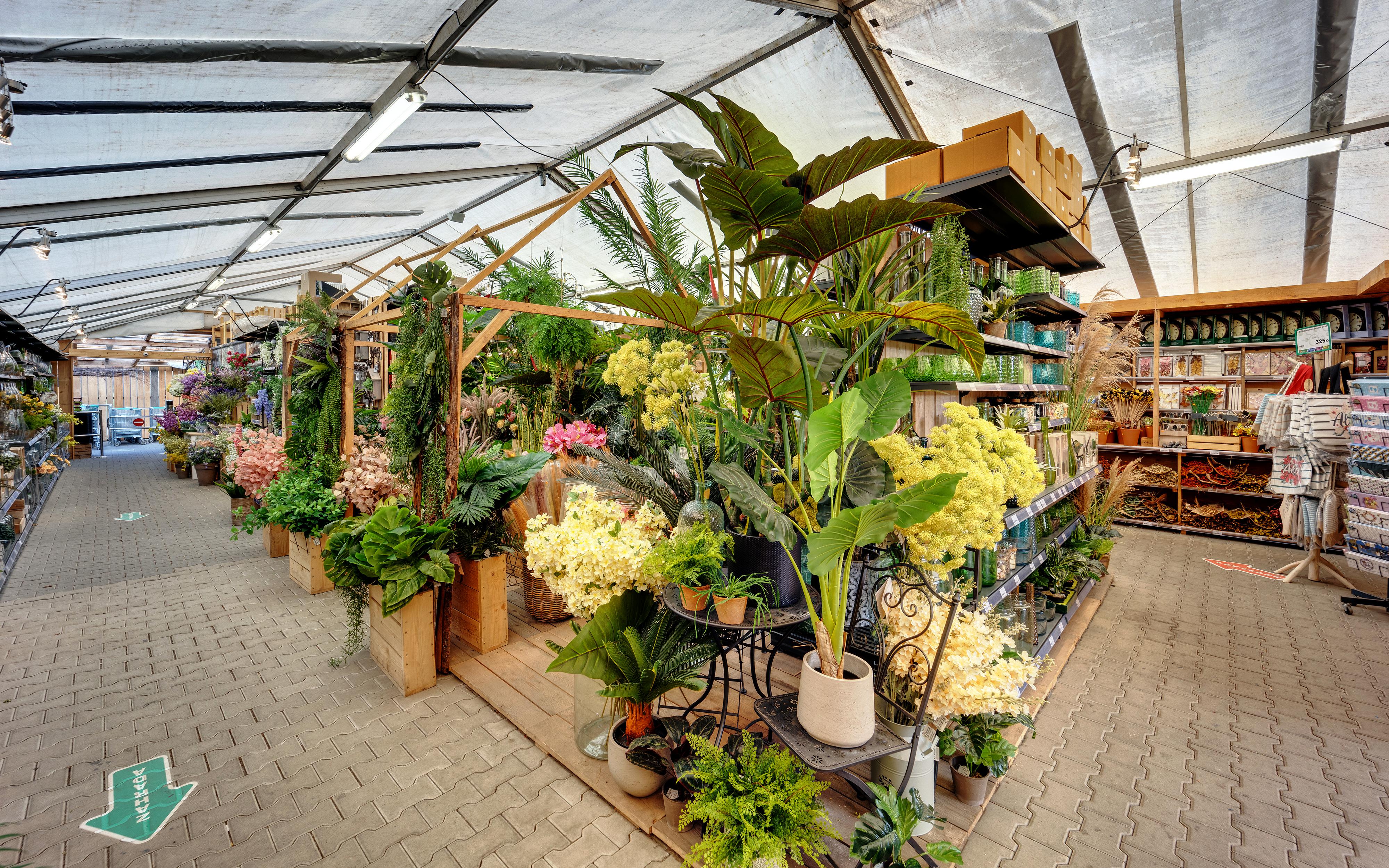 edenia zahradní centrum foto 4