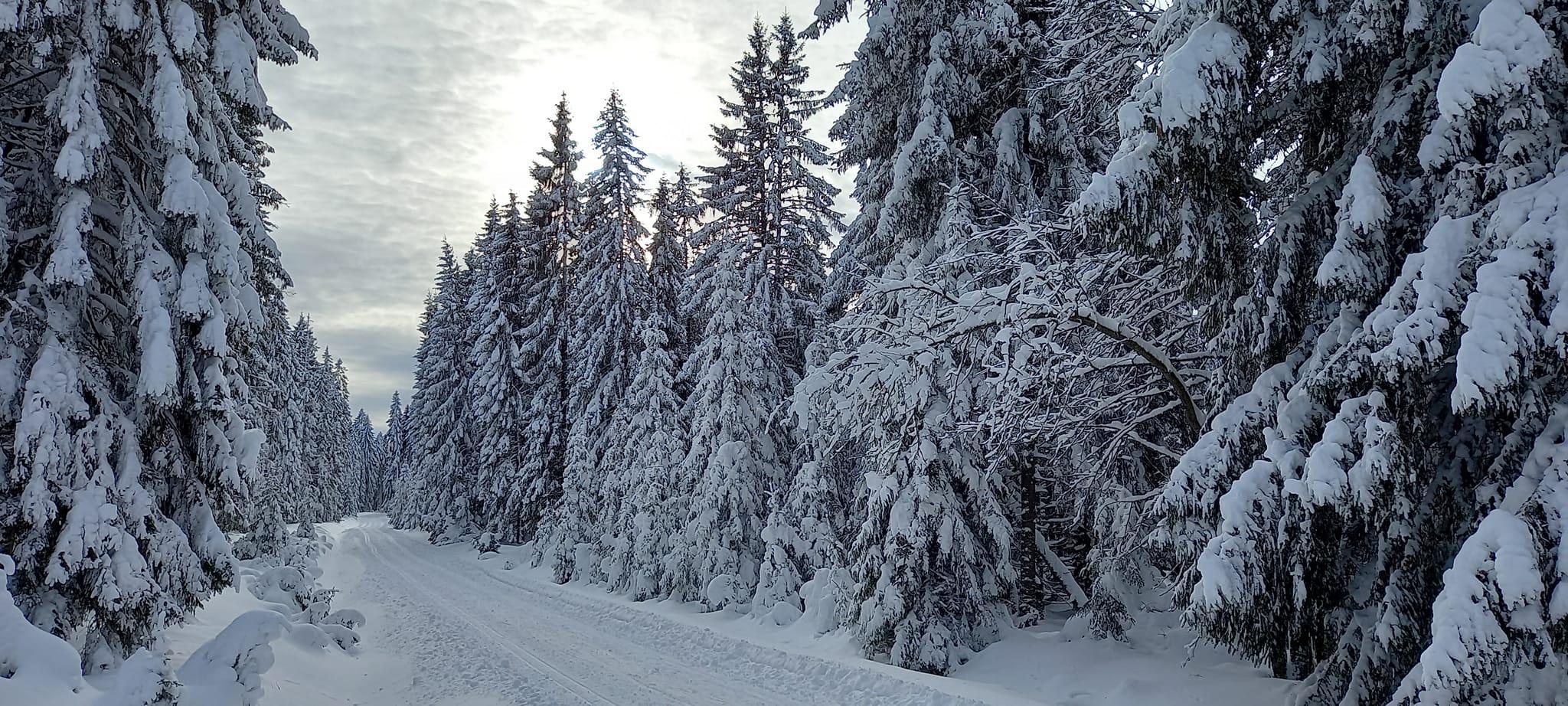 Apartmán Strážný foto 4