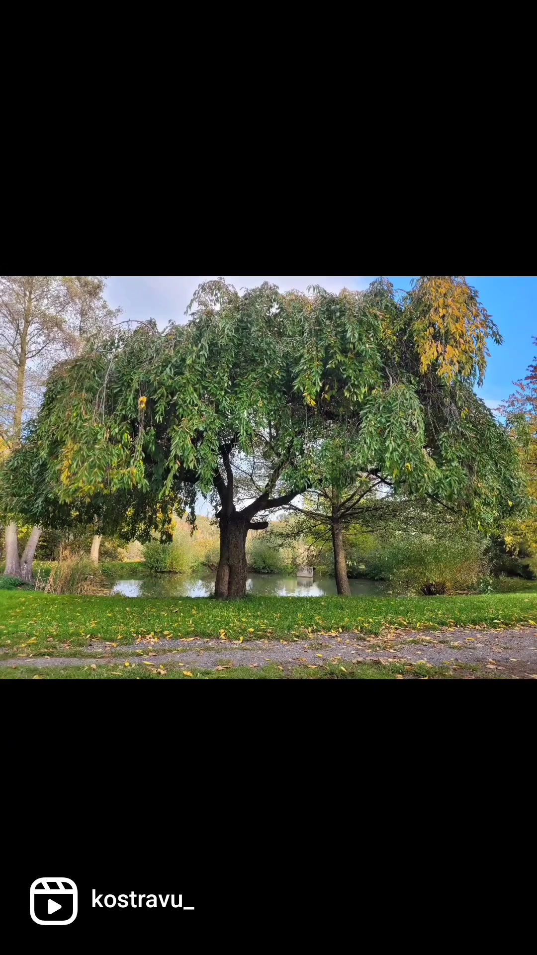 KOSTRÁVU foto 2 (náhled videa)