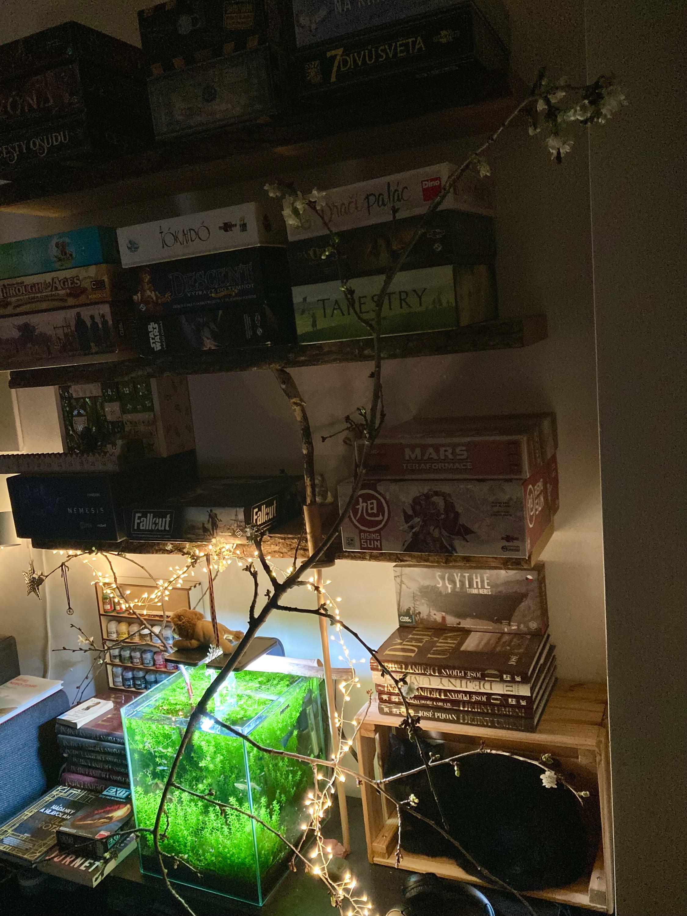 PLAYNAUT půjčovna deskových her foto 3