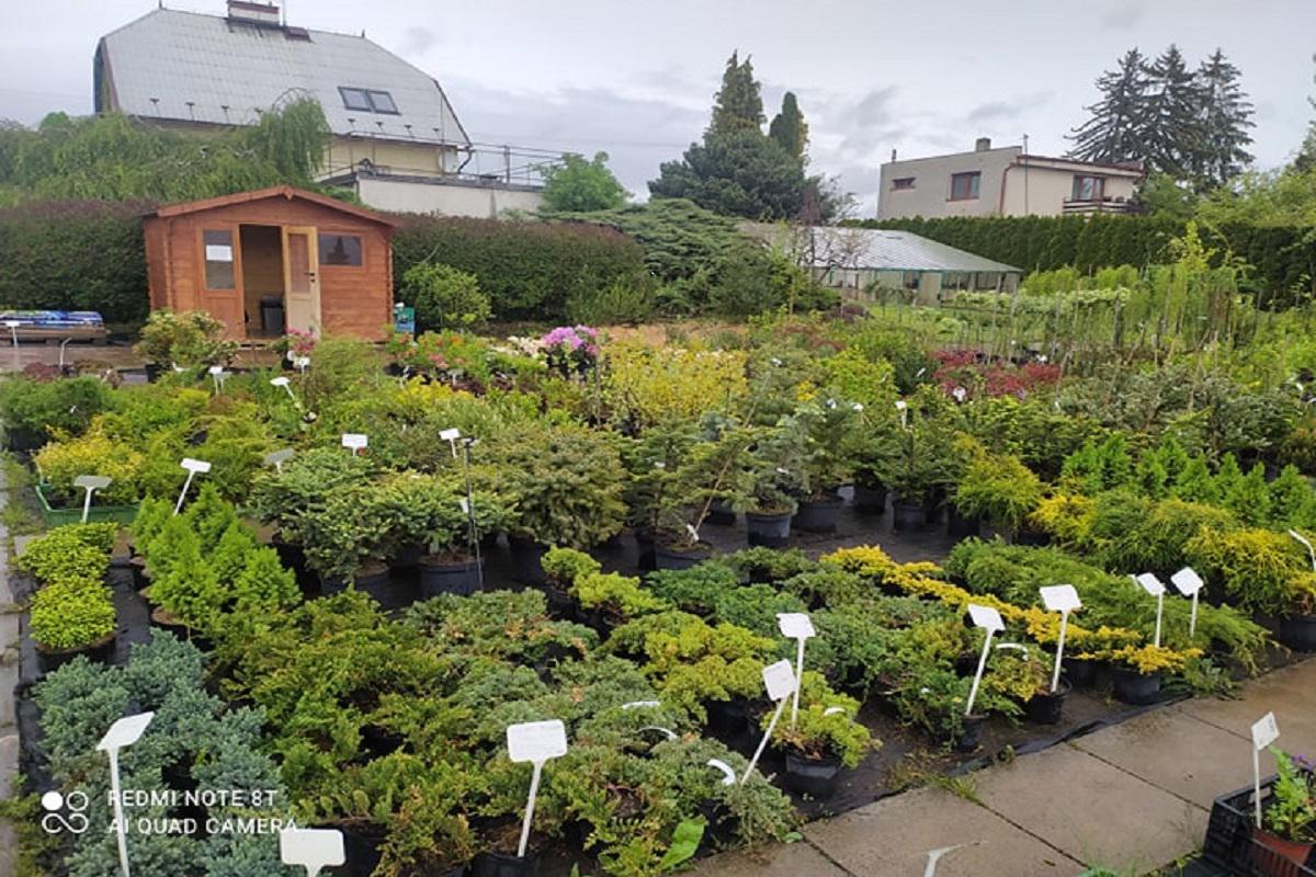 ART - ZAHRADNÍ ARCHITEKTURA, OKRASNÉ A OVOCNÉ ŠKOLKY