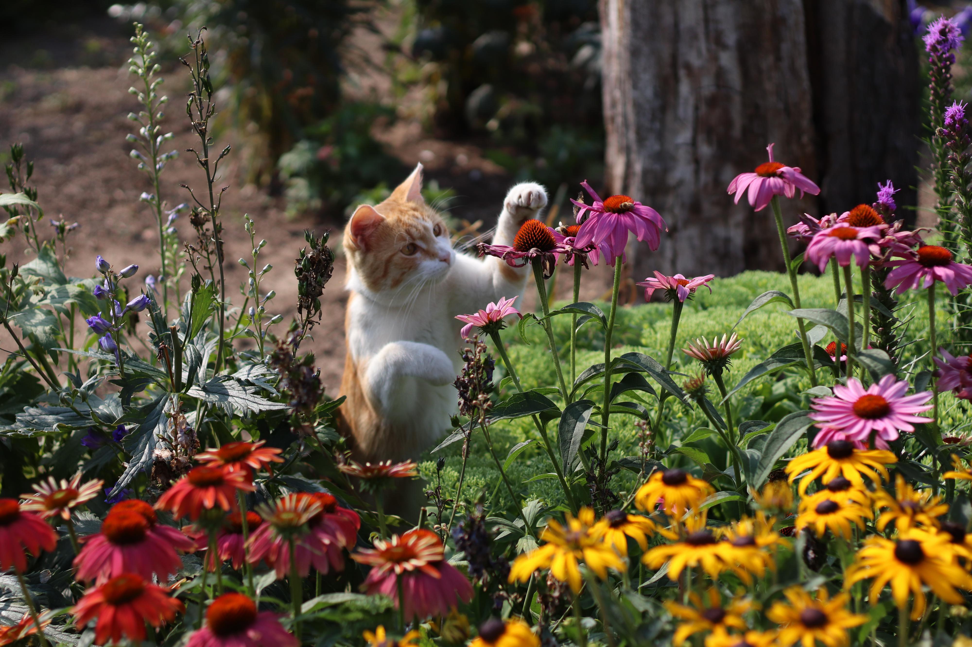 Zahradnictví Špeta