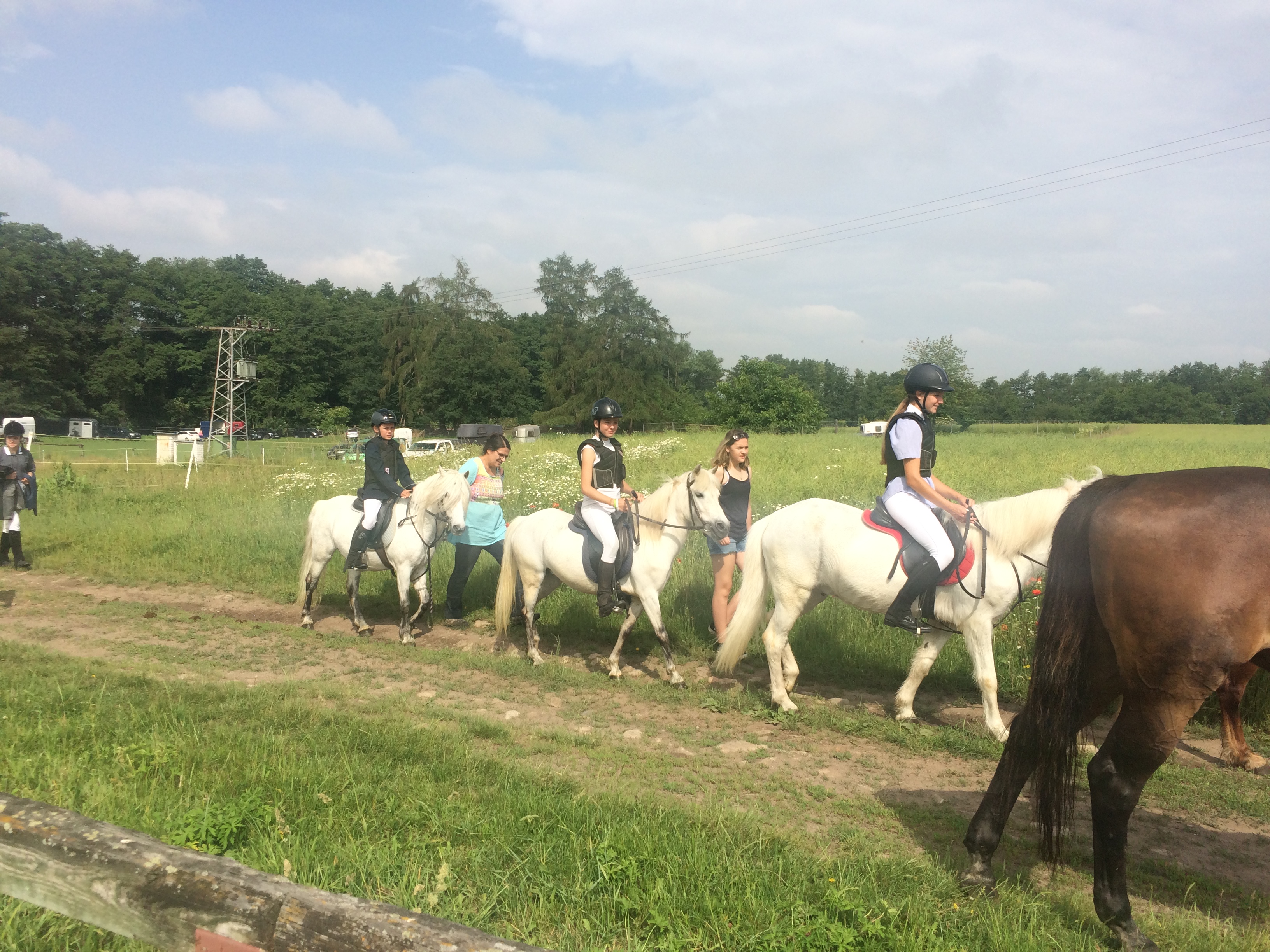 Jezdecký spolek Denisa