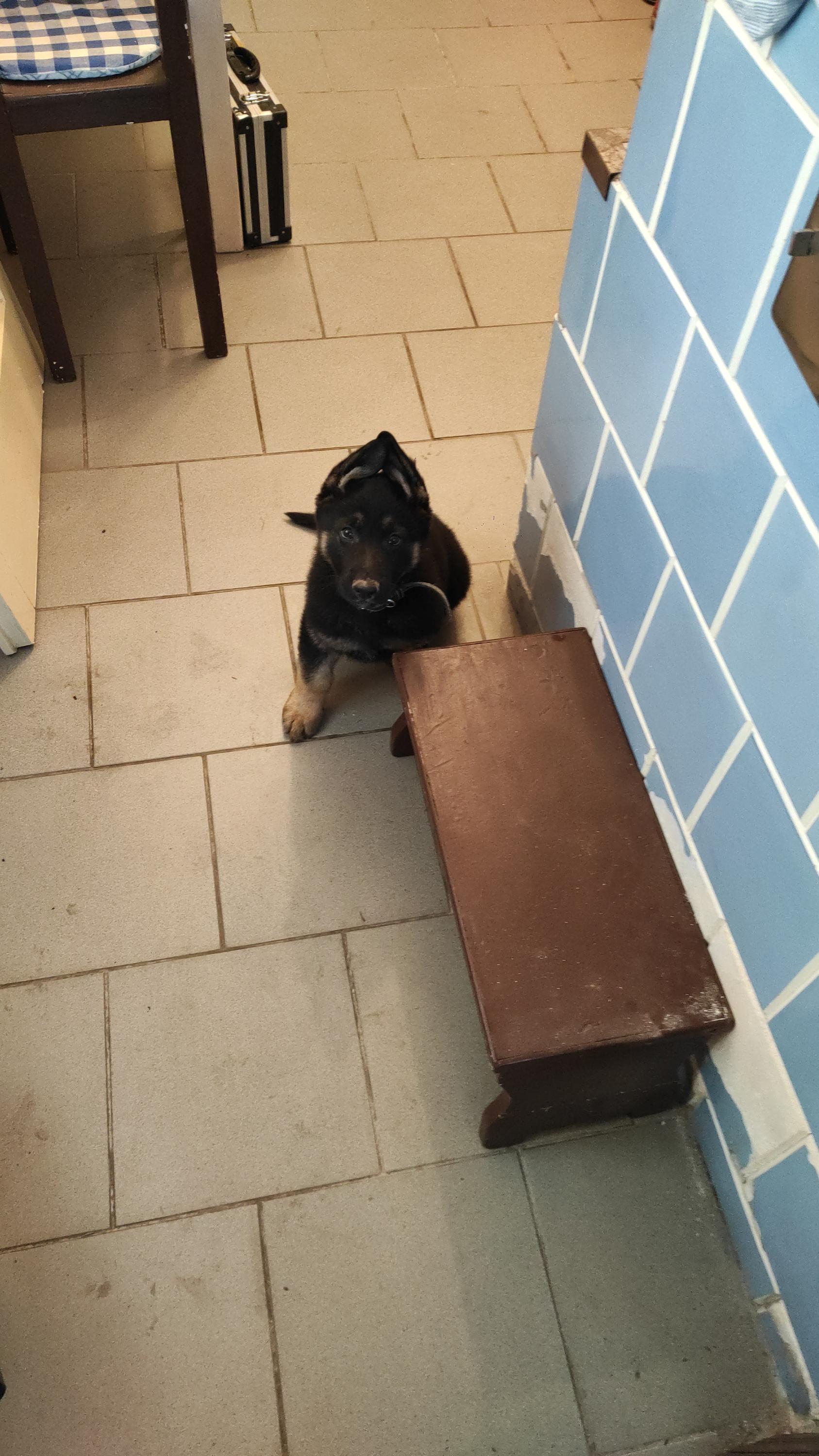 Chalupa Račov foto 4