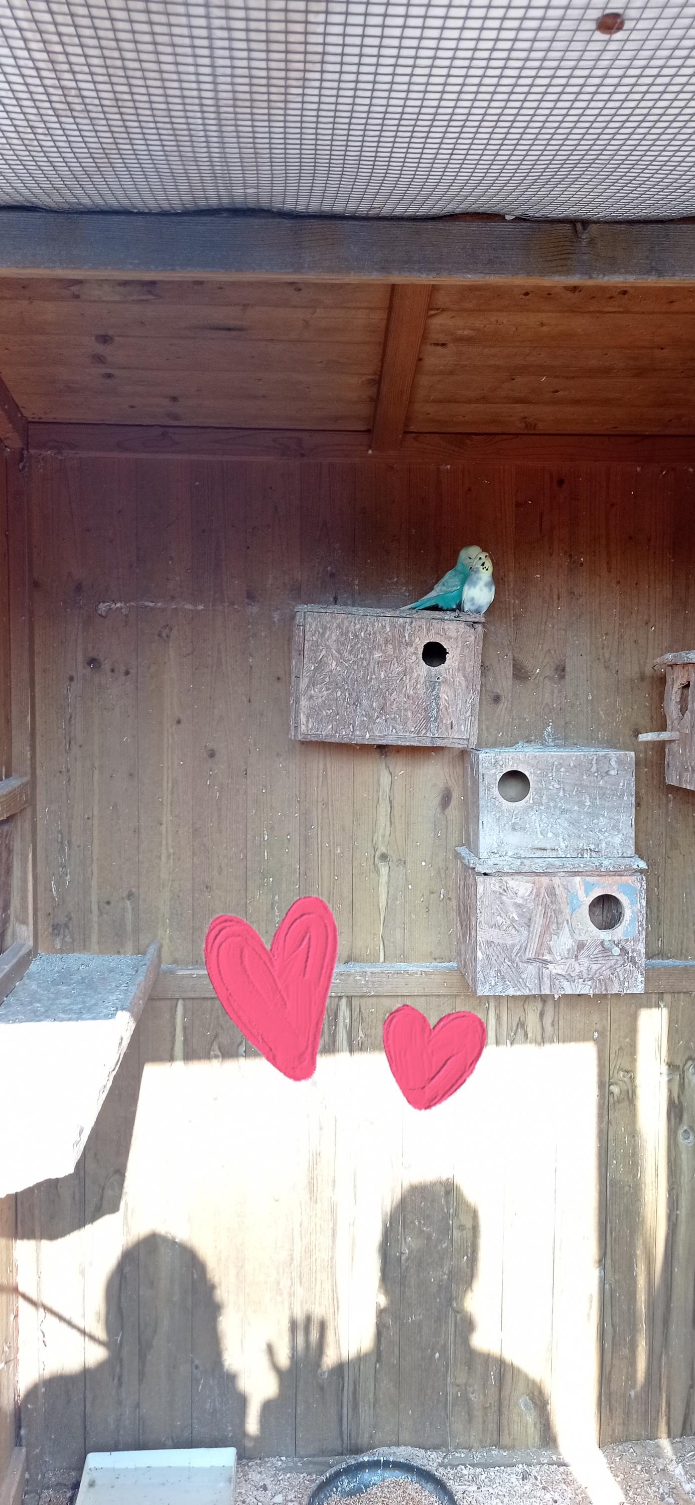 Ing. Zdeněk Mazal - zahradnictví foto 4