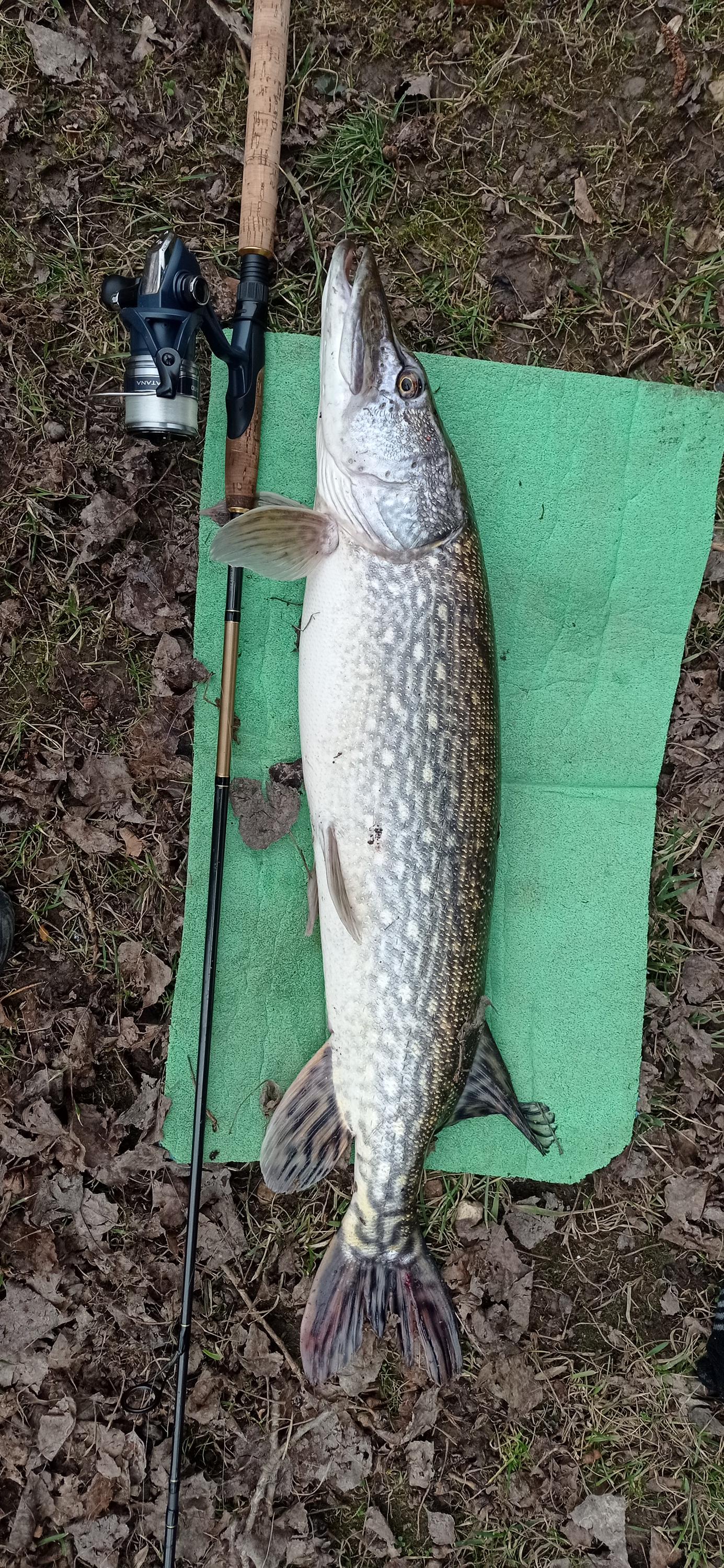 Zukalův rybník foto 5