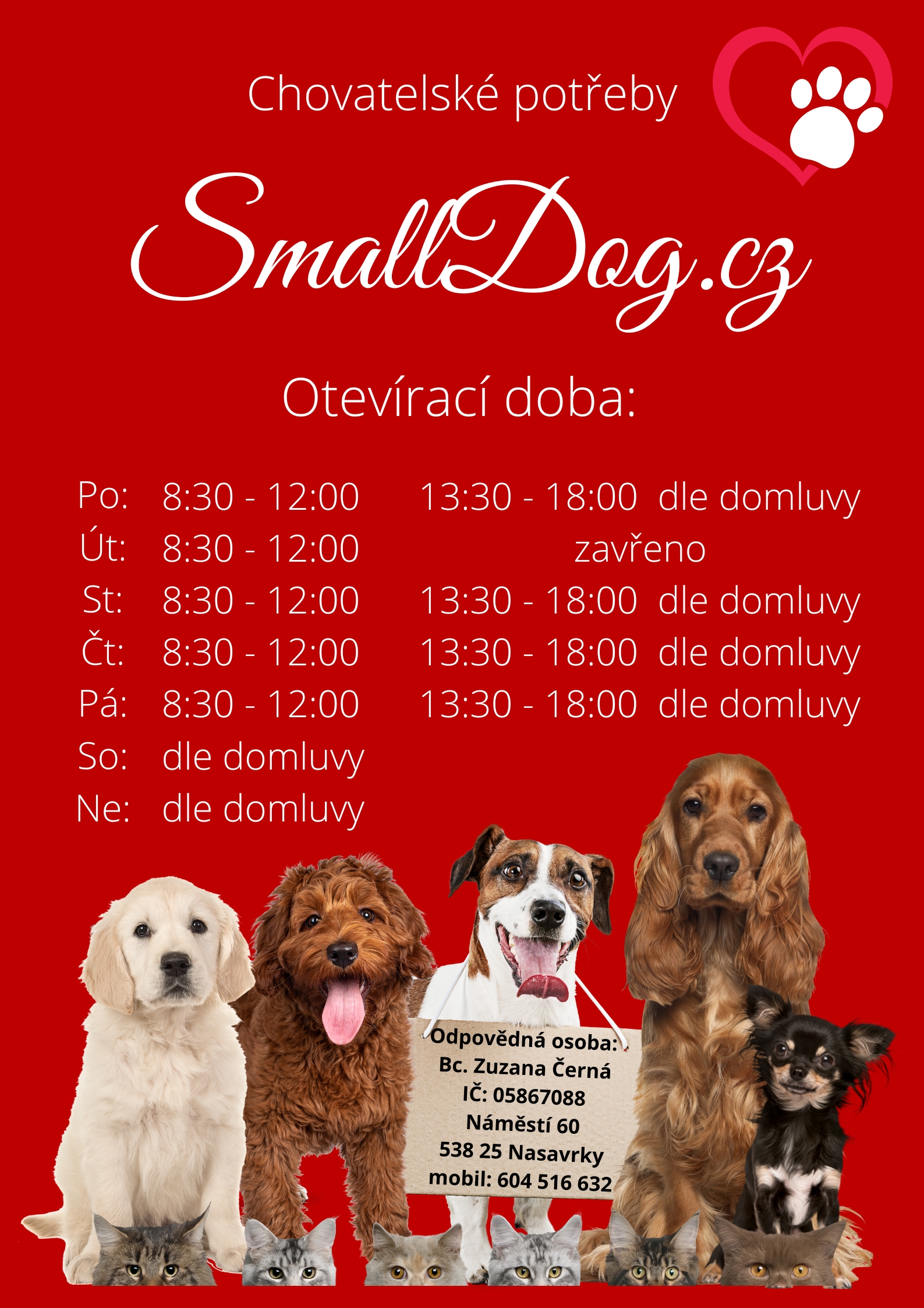 SmallDog.cz foto 6