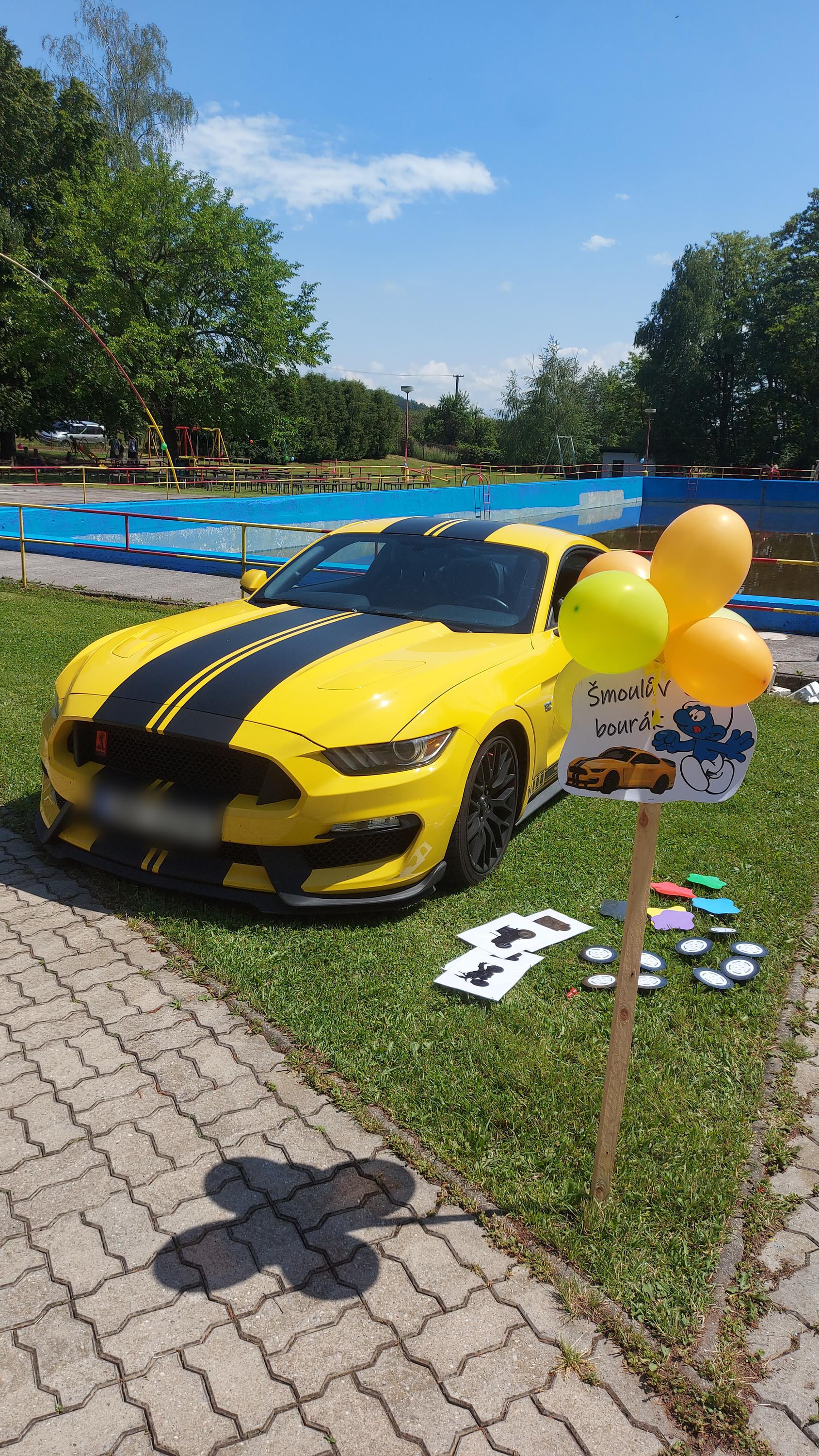 Srncův Mustang foto 6