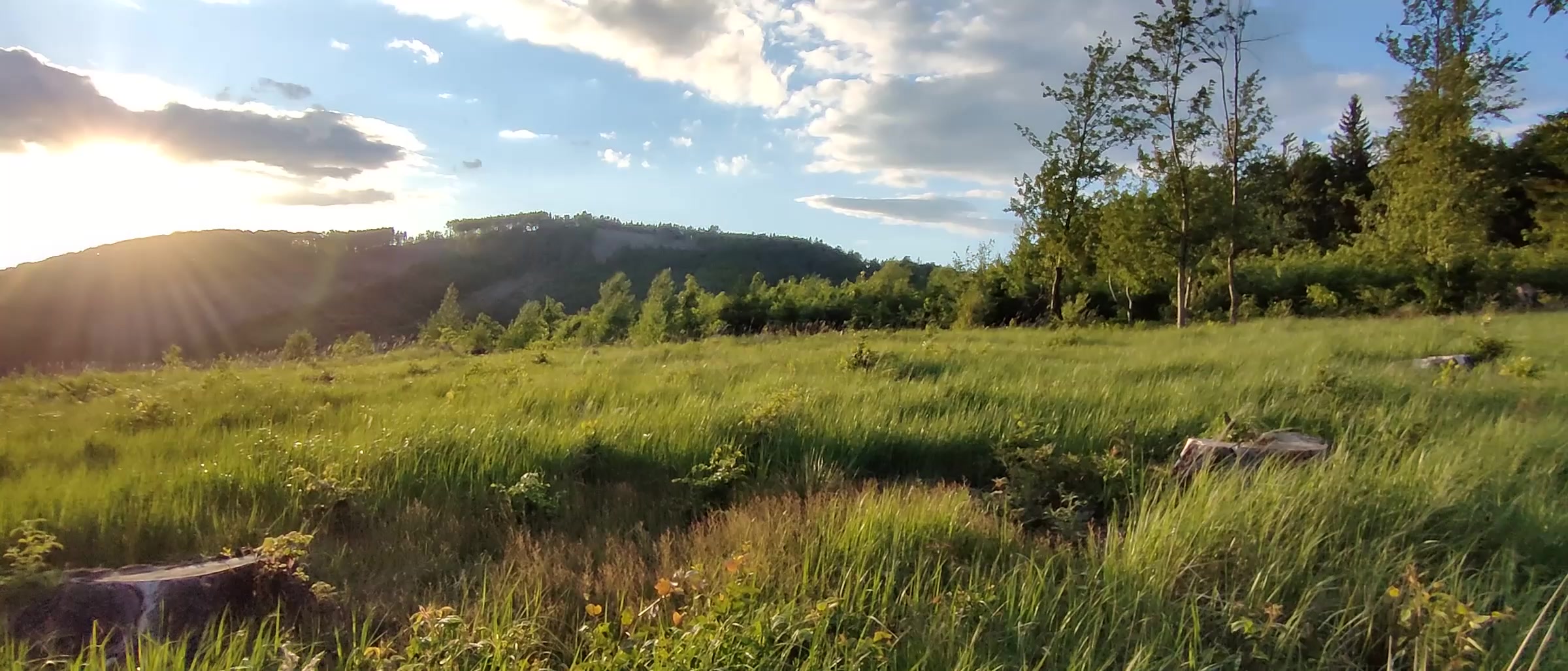 Tesák-Čerňava.cz foto 2 (náhled videa)