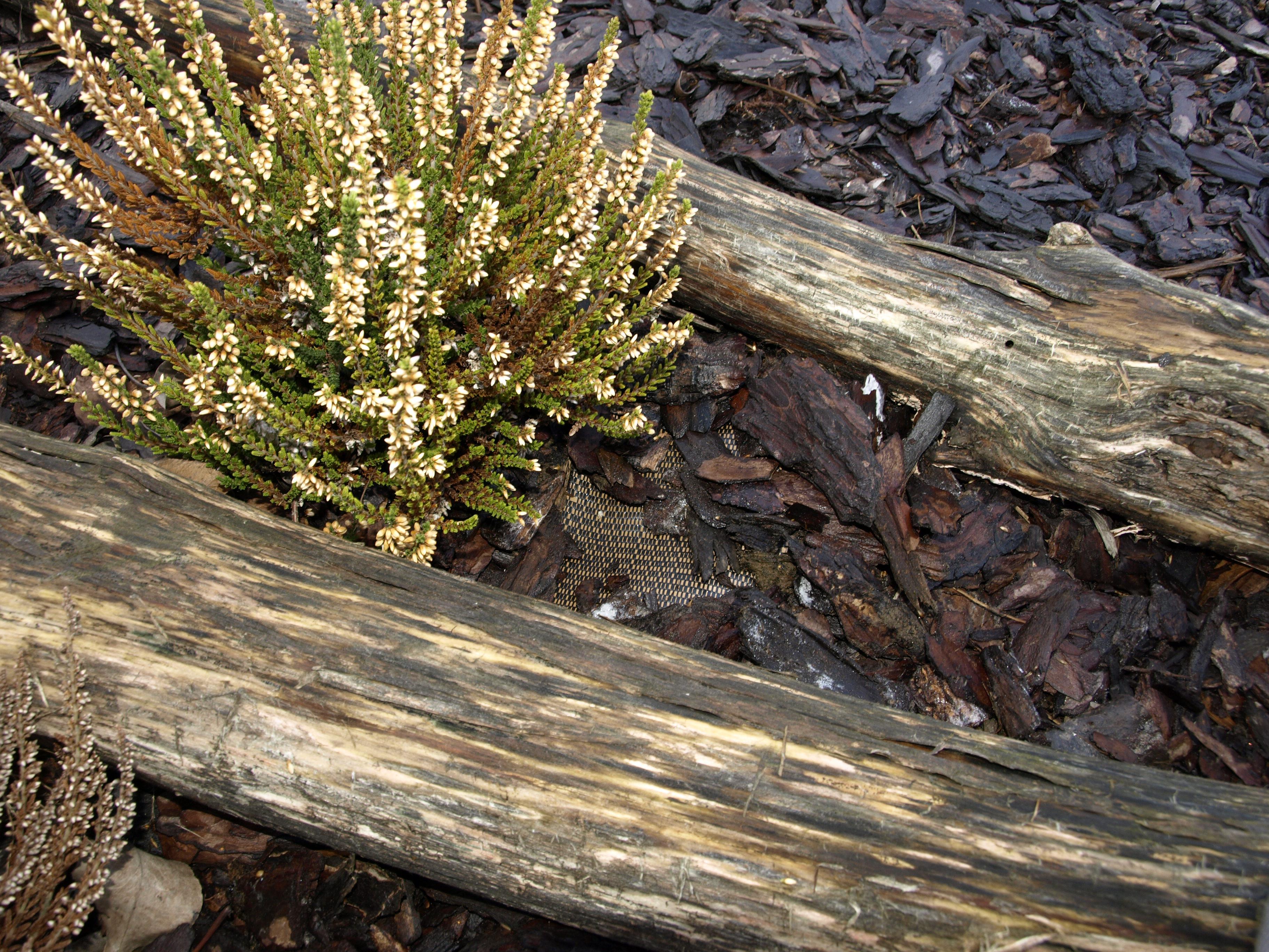Agrotextilie.cz foto 2
