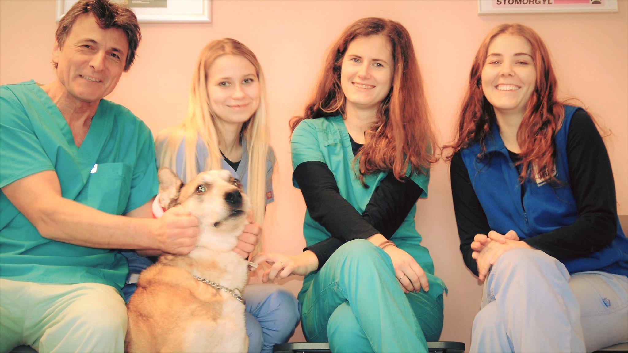 Horská veterinární klinika foto 6