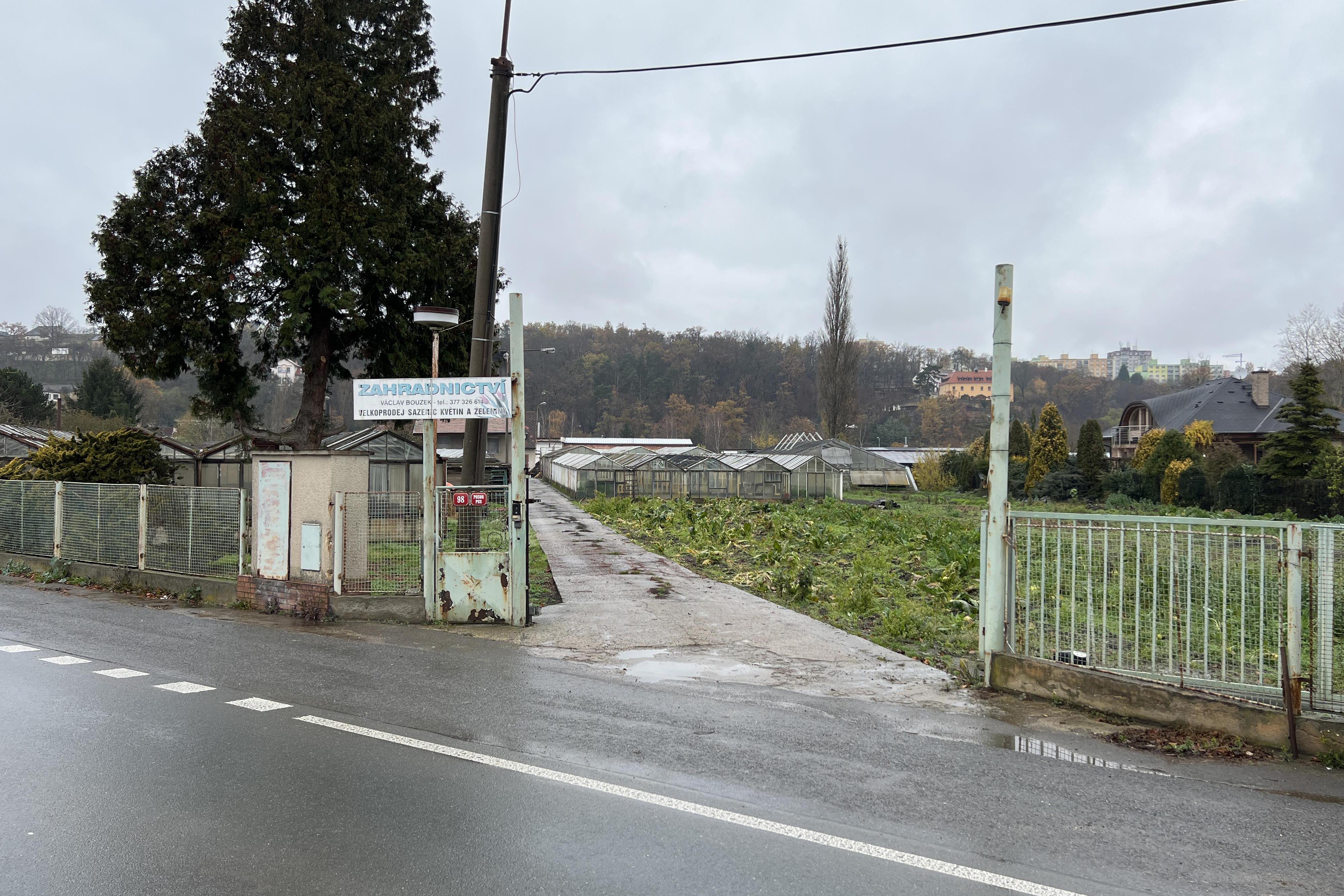 Květiny Václav Bouzek
