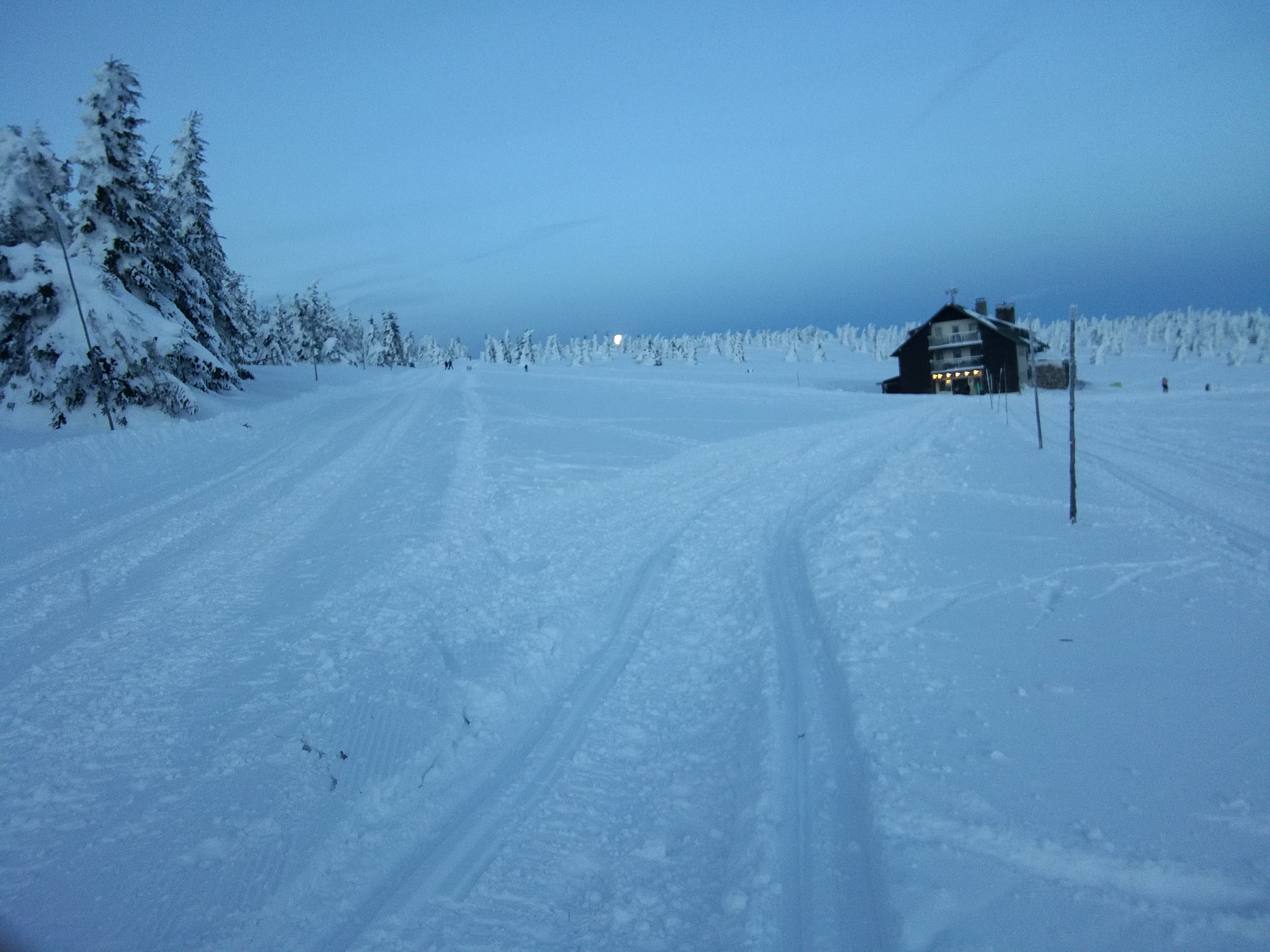 Dvorská Bouda - restaurace foto 6