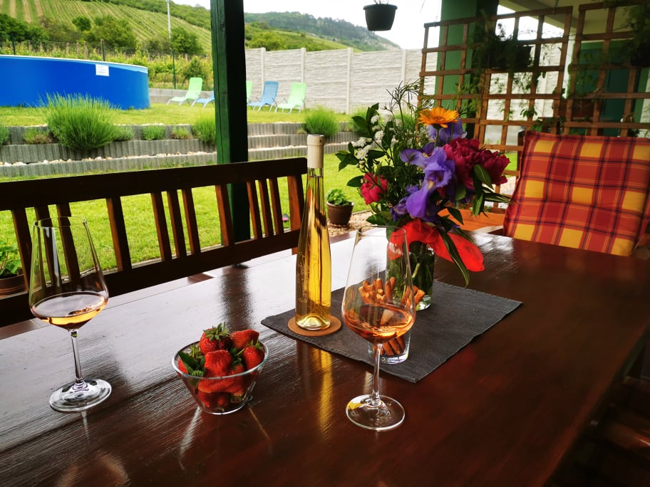 Ubytování v soukromí Pálava Perná foto 2