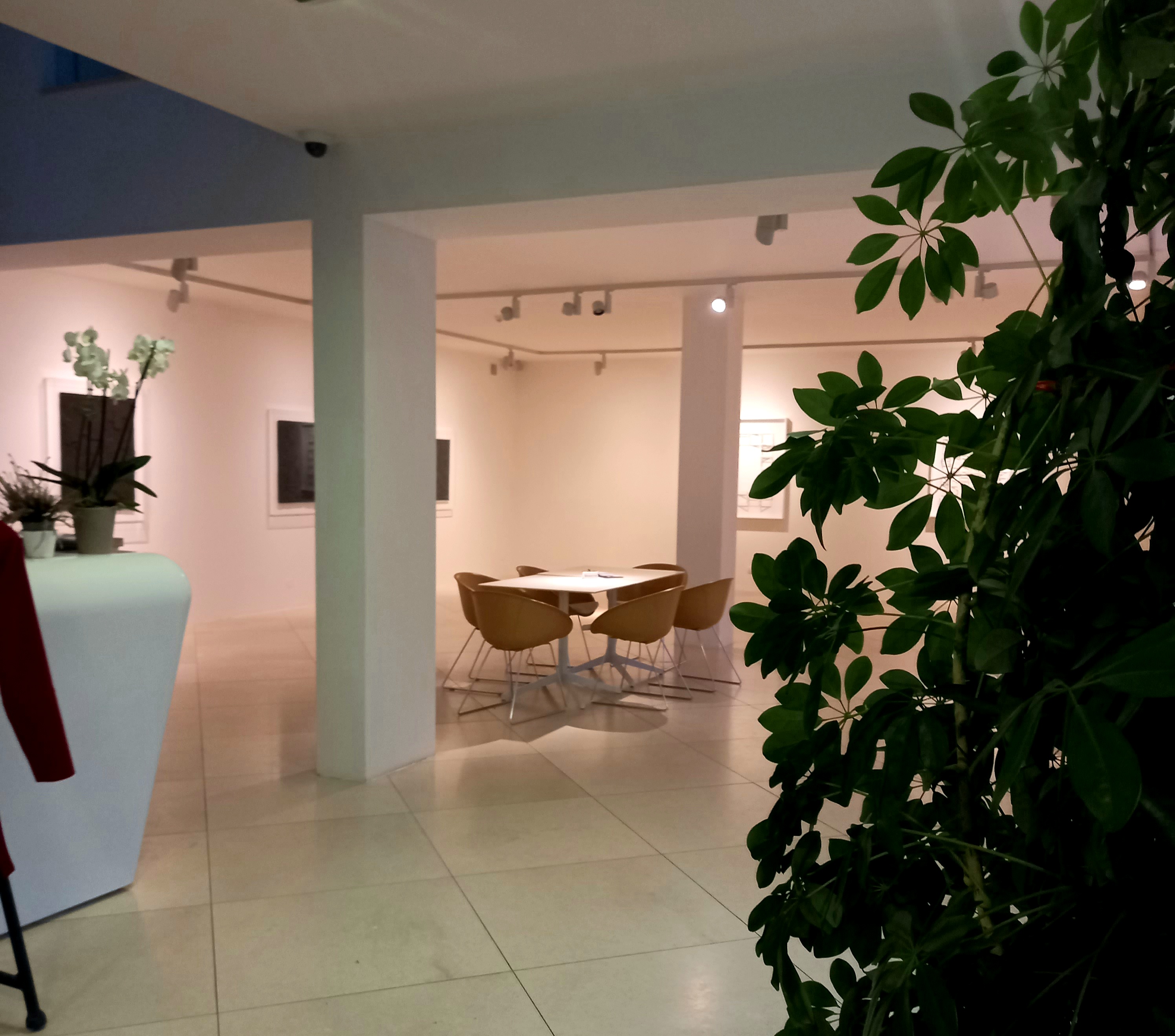 Galerie Závodný foto 6