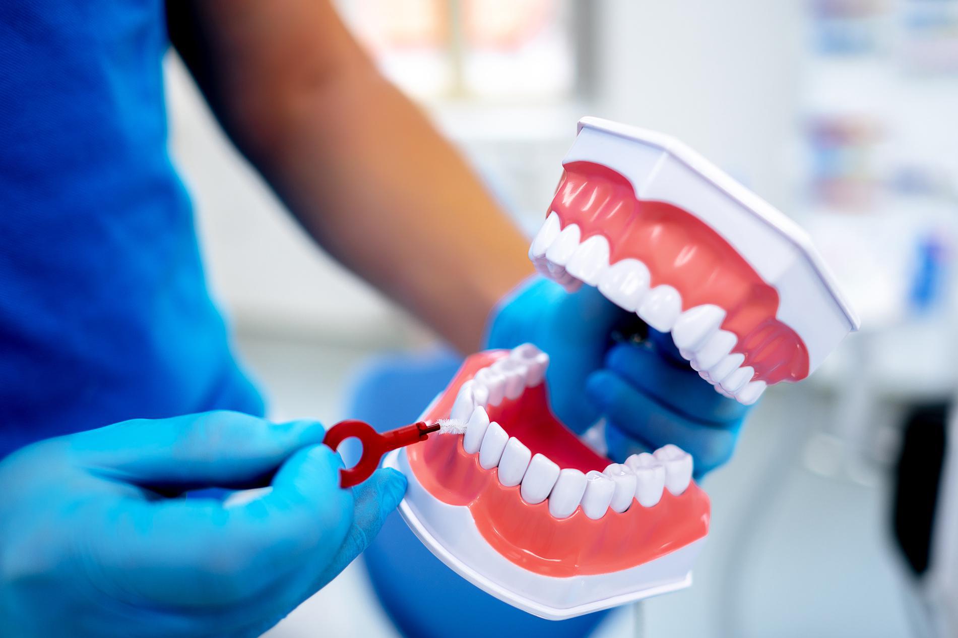 MŠENO - DENT, s.r.o.