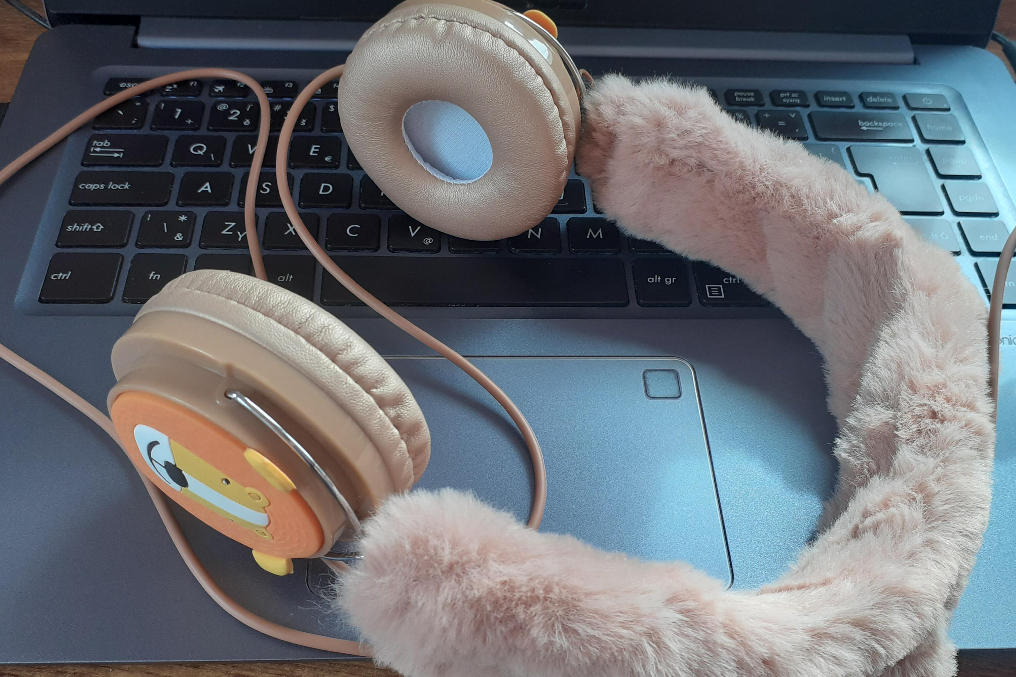 Přepis audio/video na text - Pavla Žďárková