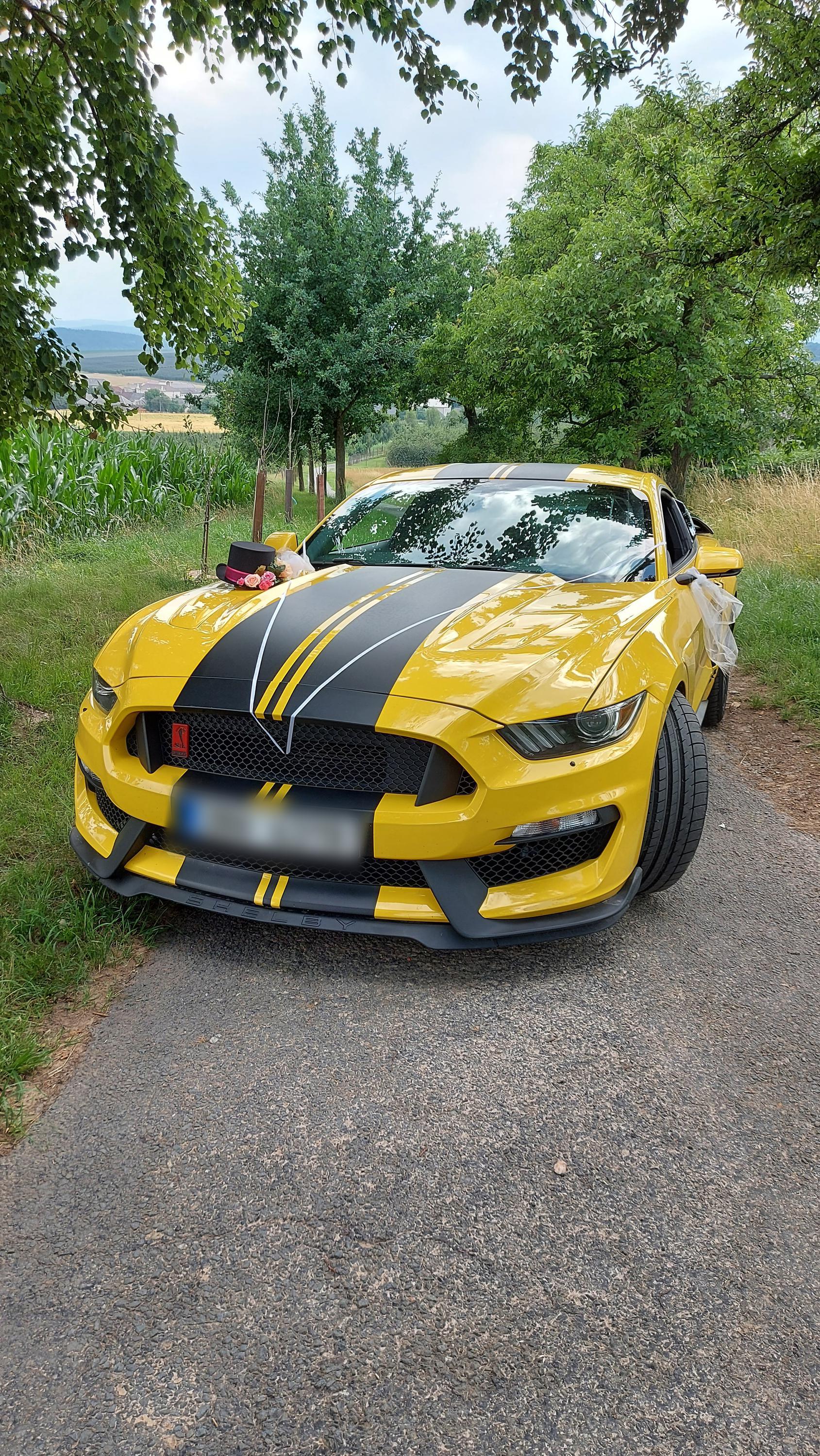 Srncův Mustang foto 4