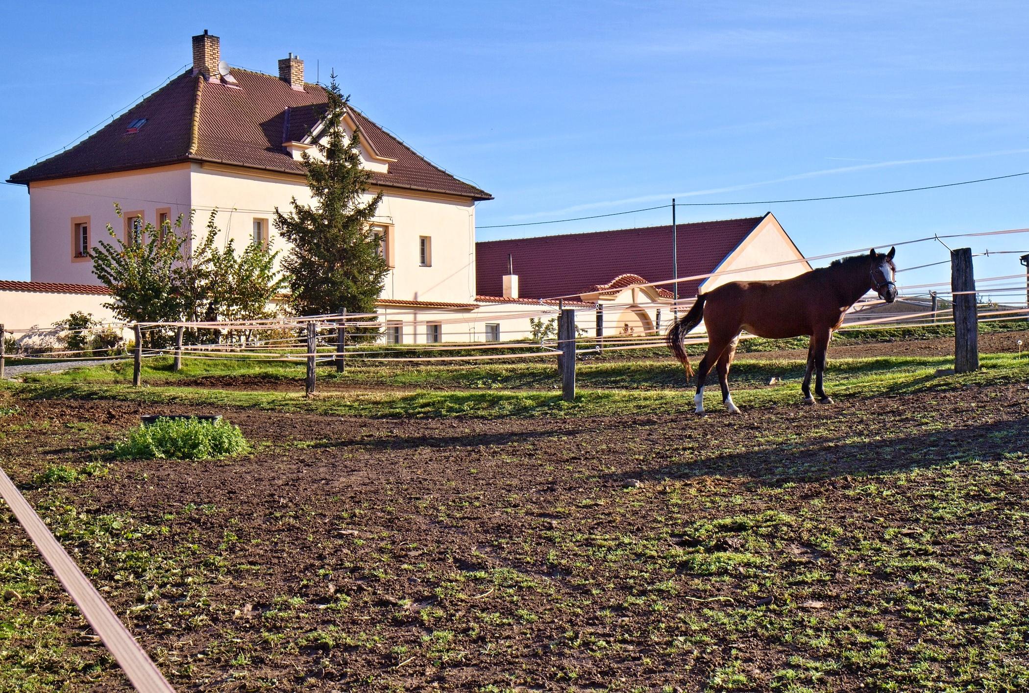 Jezdecký klub Výzkumného ústavu živočišné výroby Uhříněves foto 2