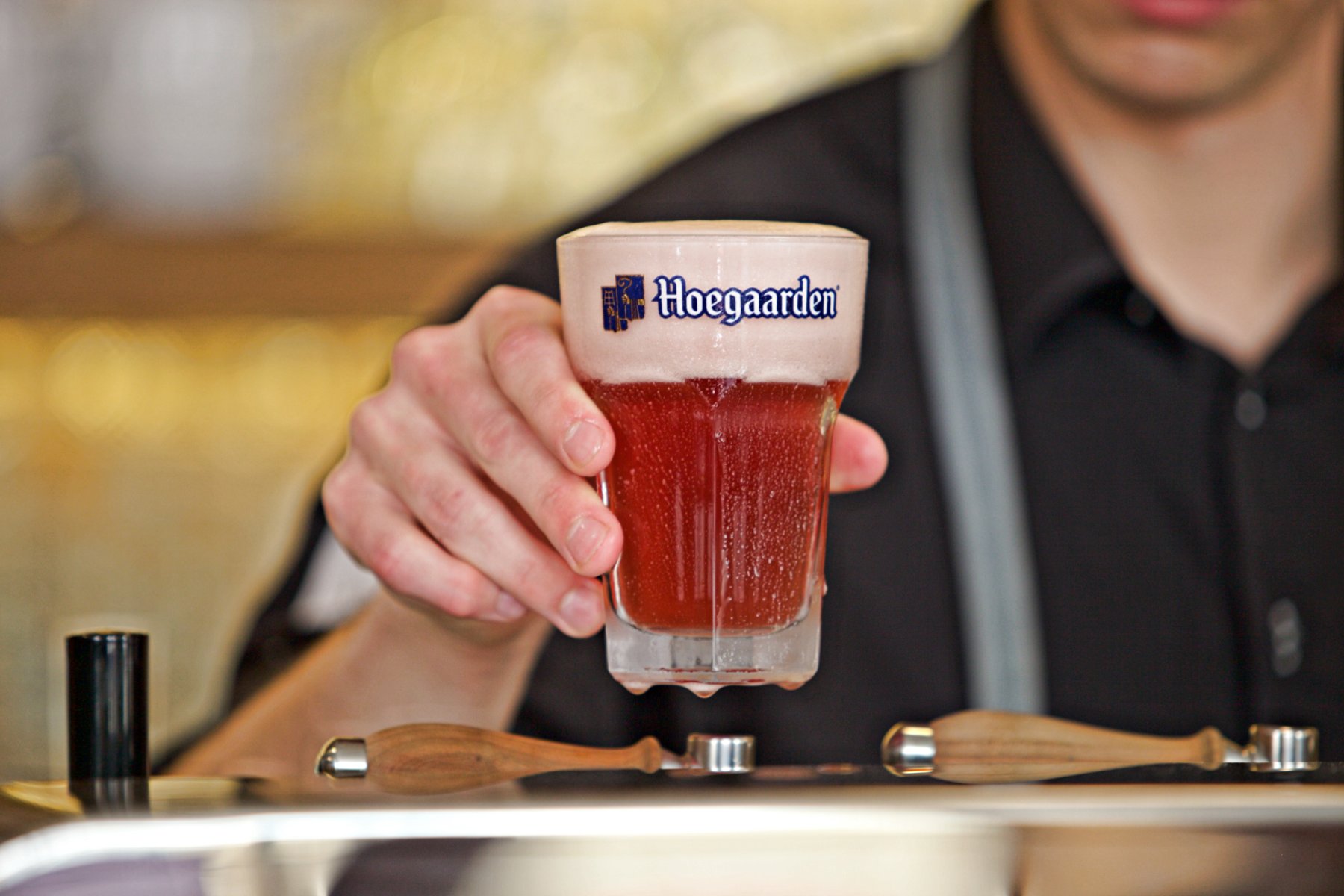 Potrefená husa Platnéřská foto 5