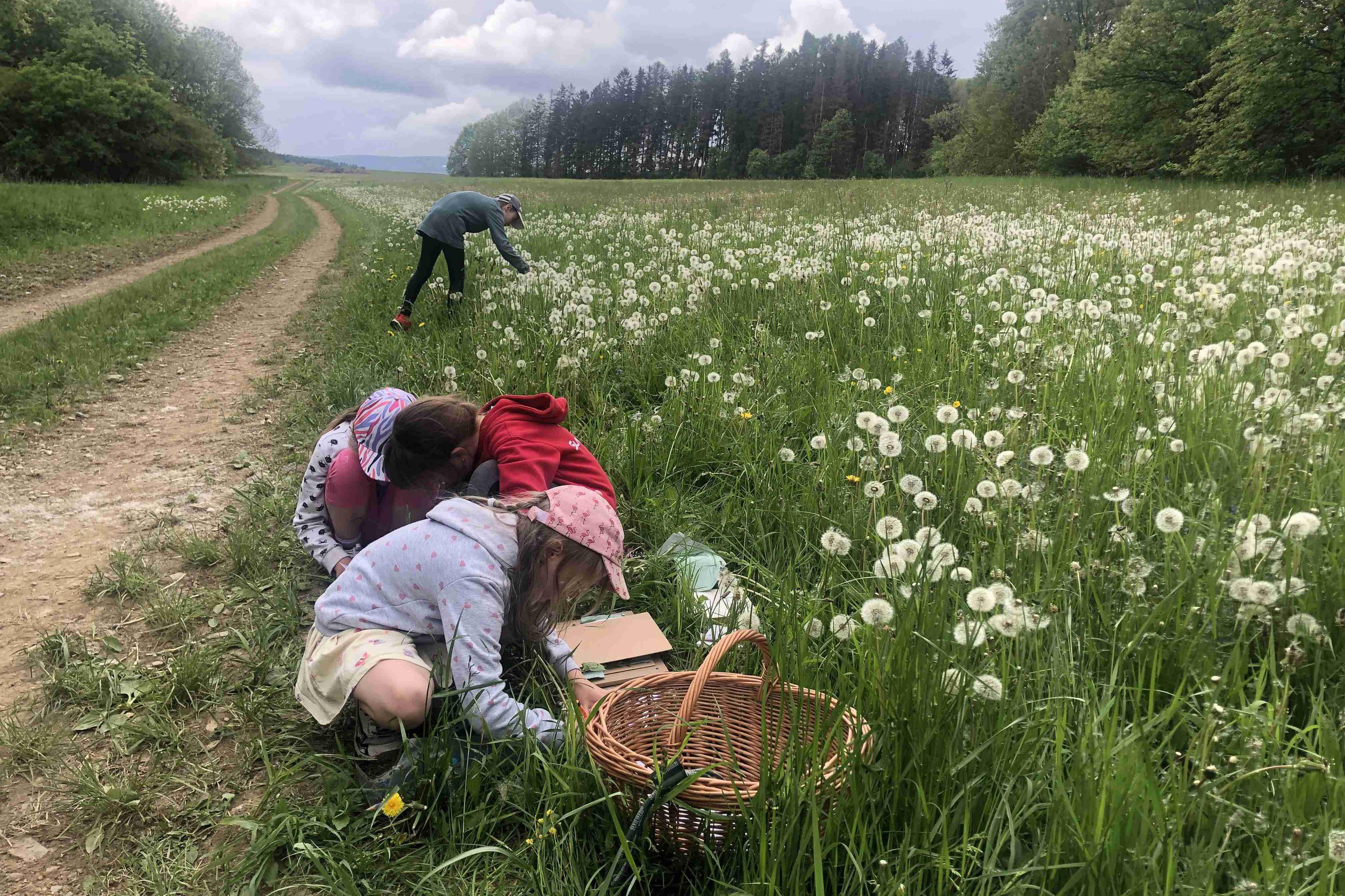 Základní škola a Mateřská škola Rudná pod Pradědem