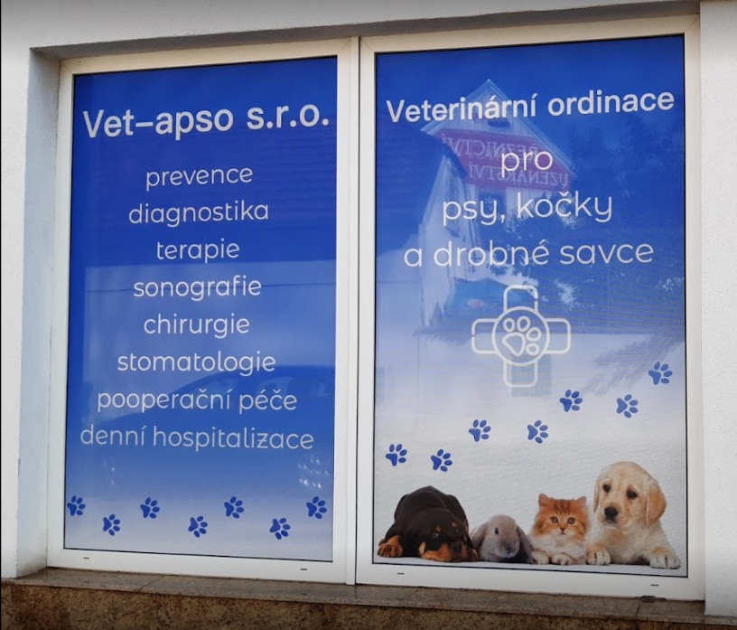 Vet-apso foto 2
