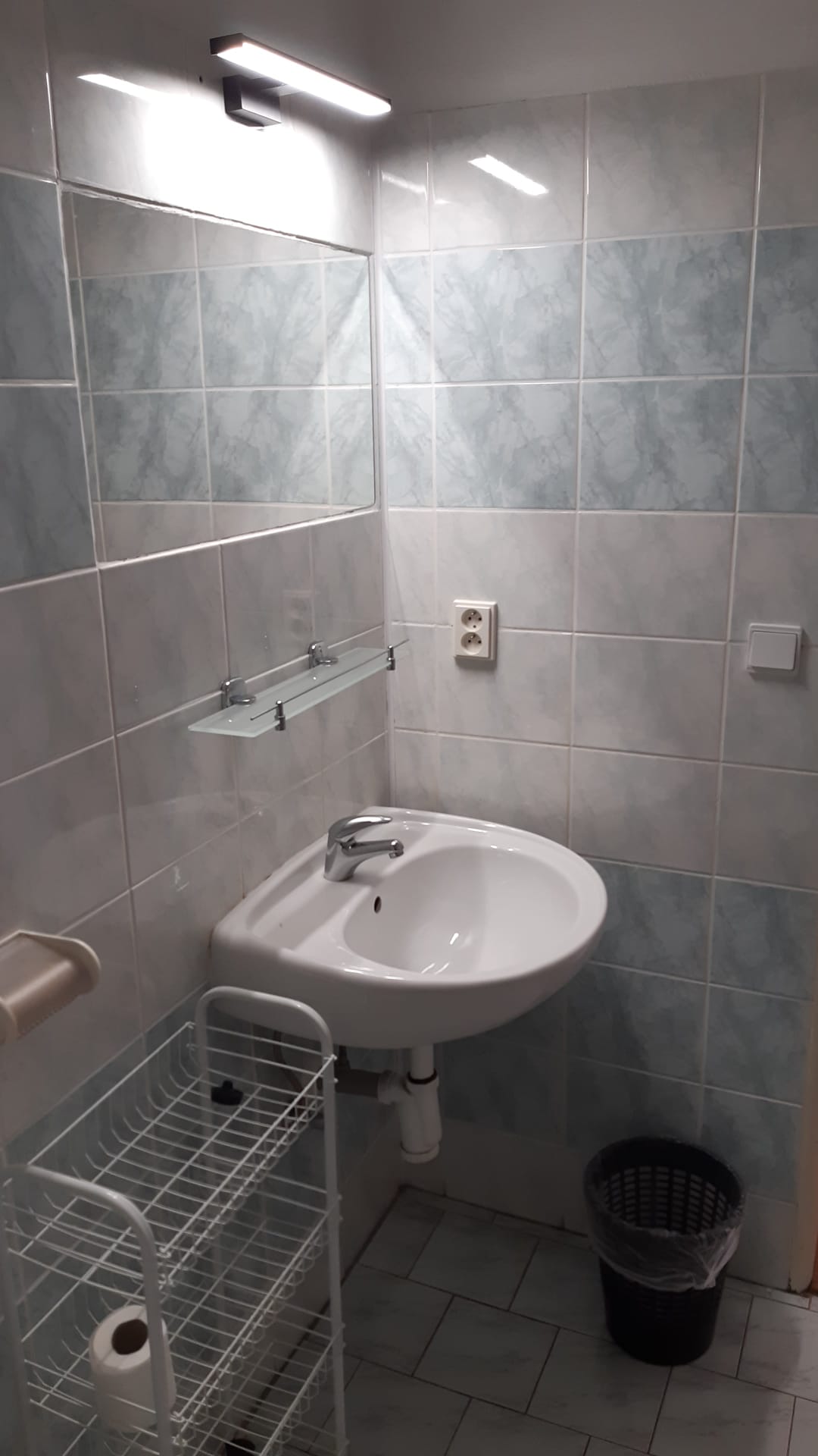 Hotel Pod břízami** foto 2