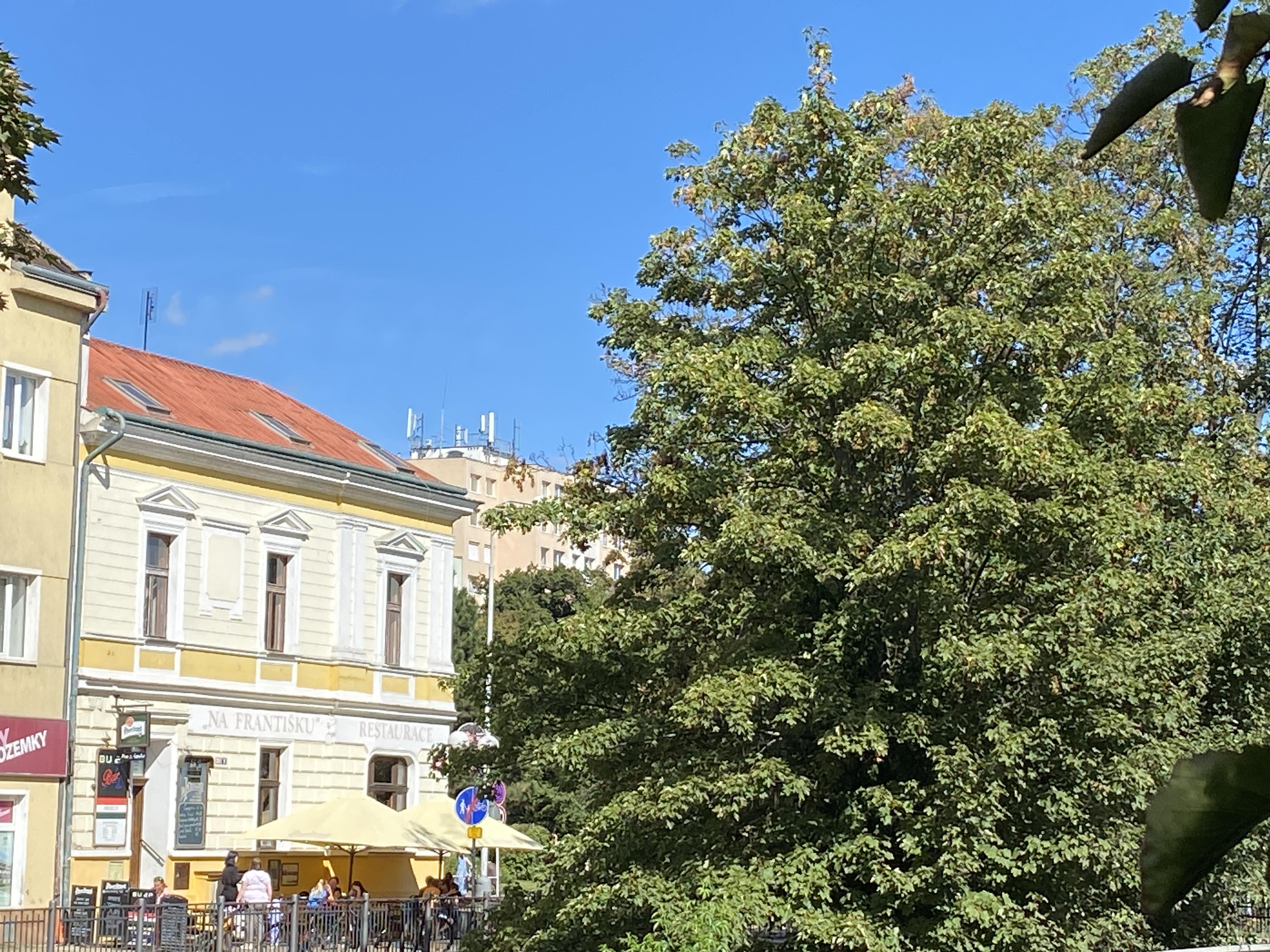 Hospoda a bar Na Františku foto 4