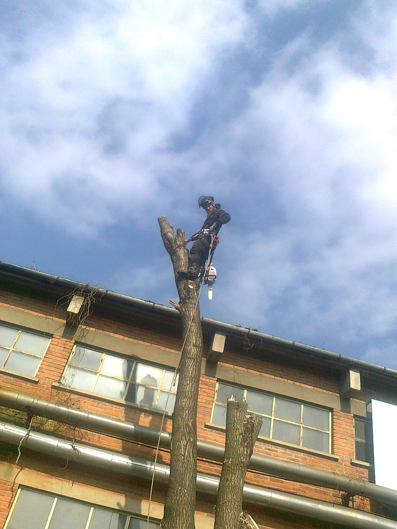 Martin Kytka - rizikové kácení stromů foto 4