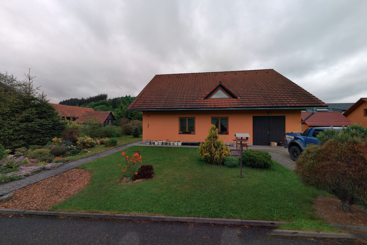 Rizikové kácení David Březovják