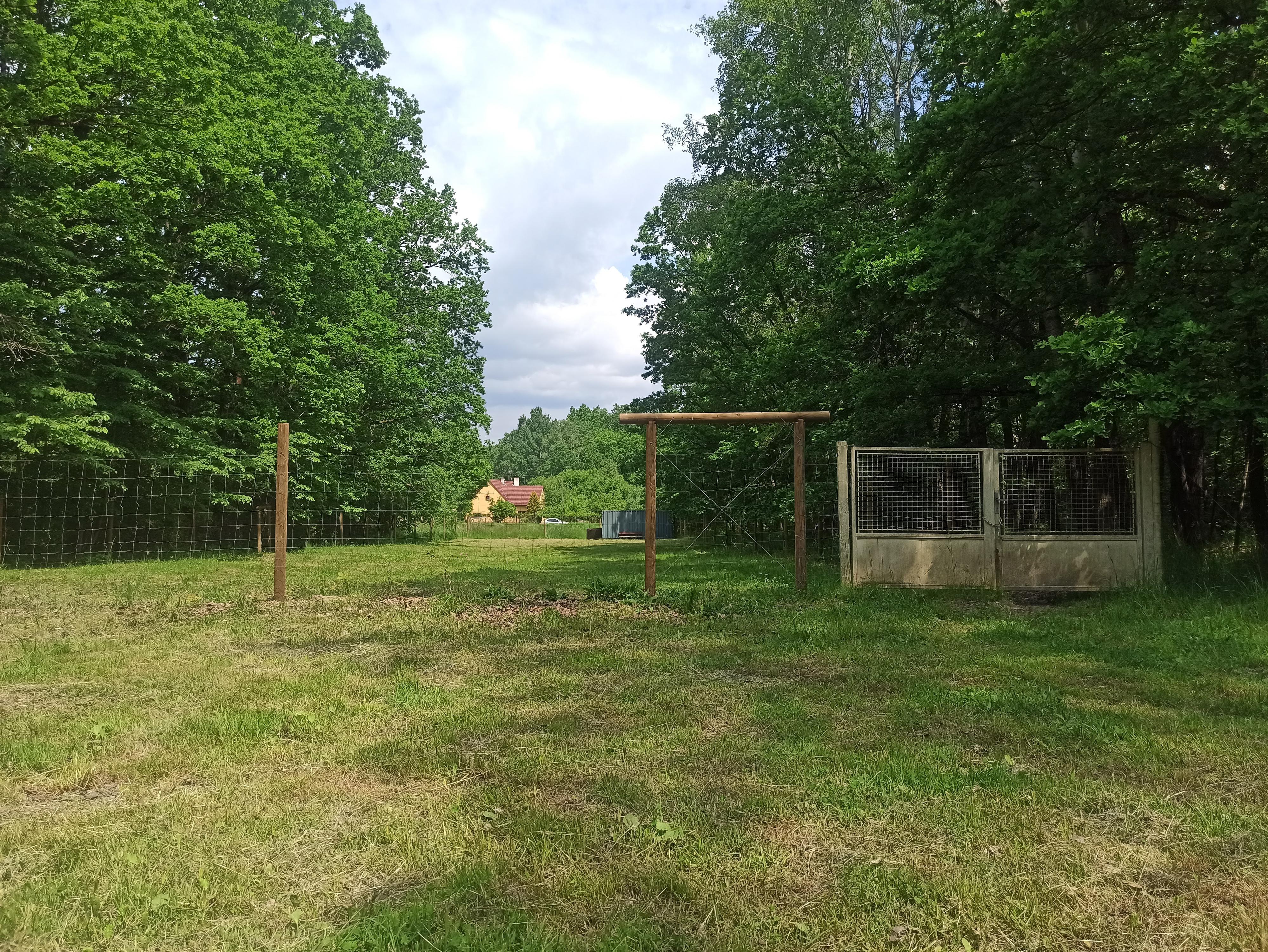 Ozzoteam - výchova a výcvik psů České Budějovice foto 3