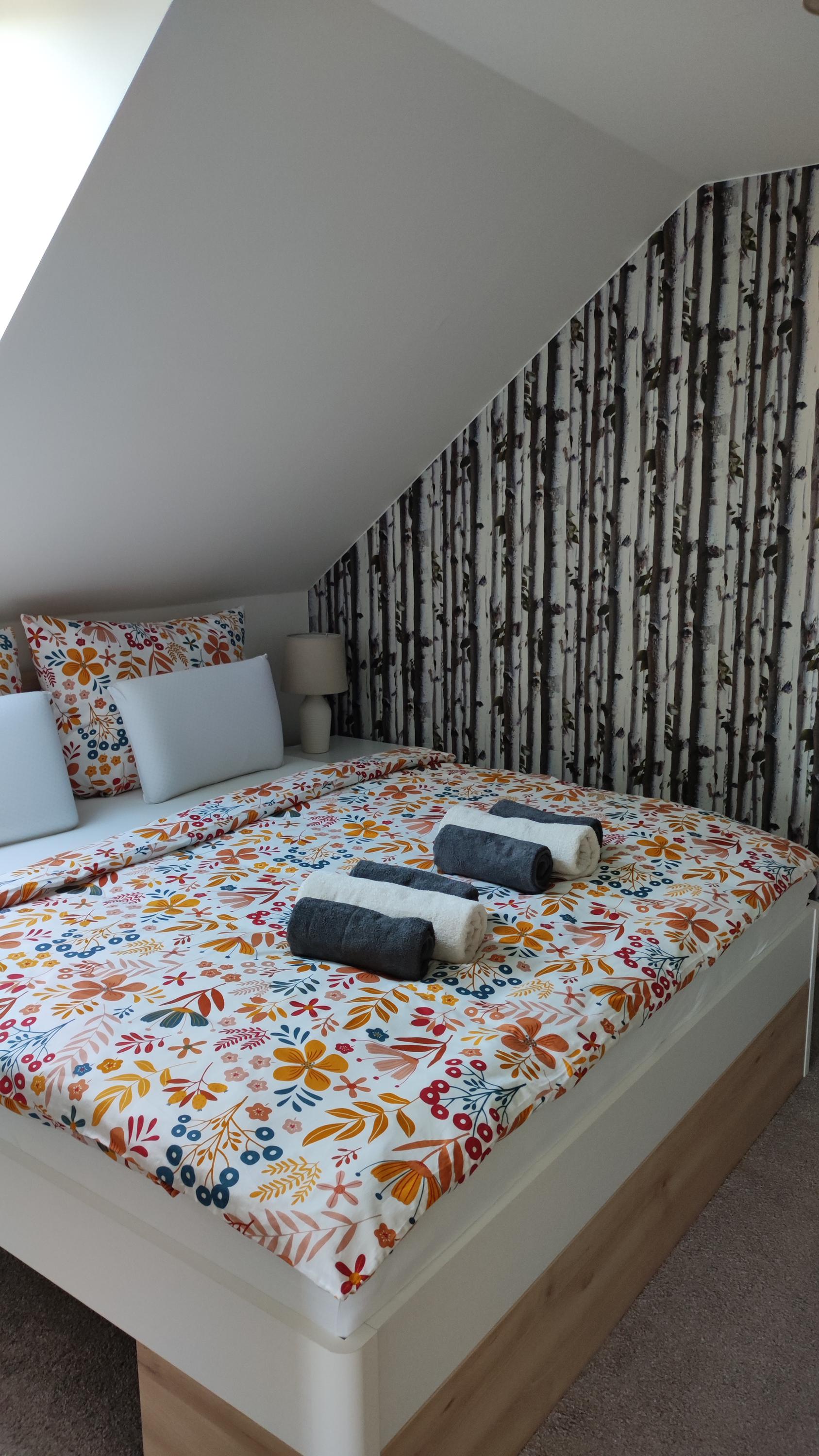 Dům u Mlejna foto 3