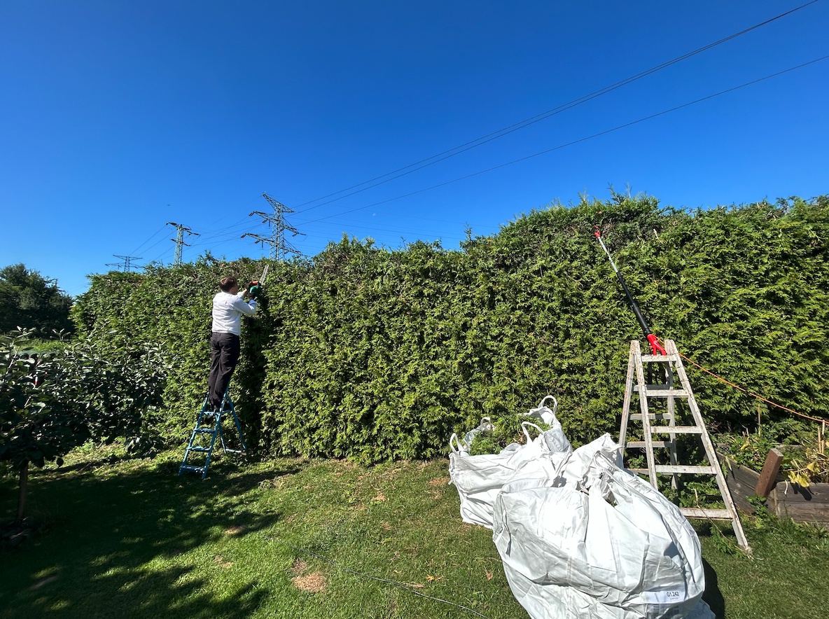 Synátoři - zeleň a zahrady foto 4