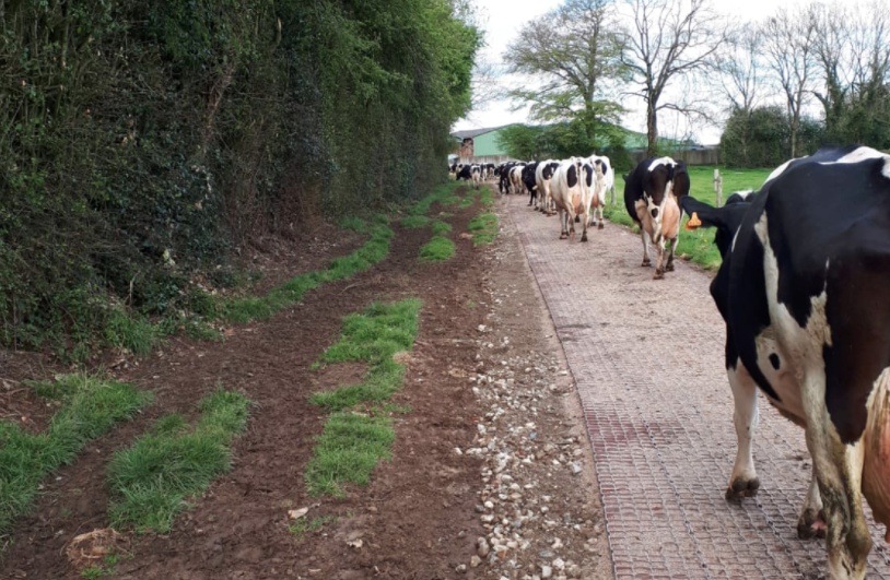 Zatravňovací dlažba ECORASTER foto 4