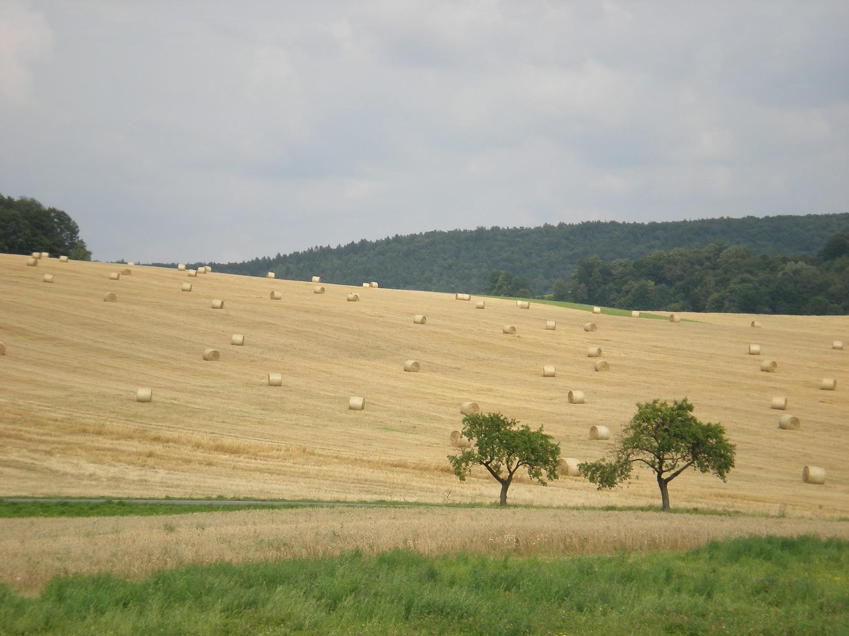 ZS Pitín, a.s. foto 5