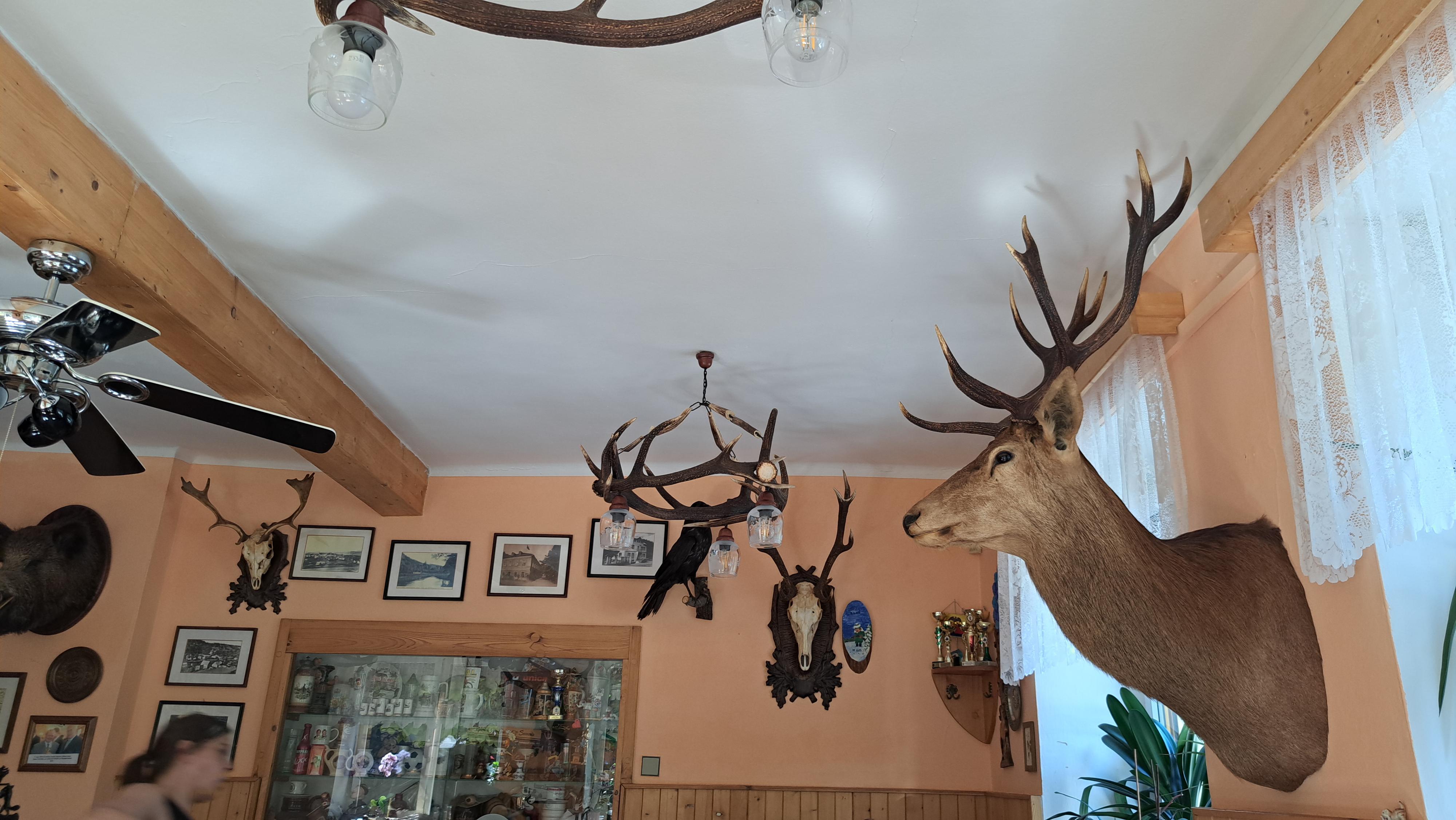 Restaurace Na Špici foto 4