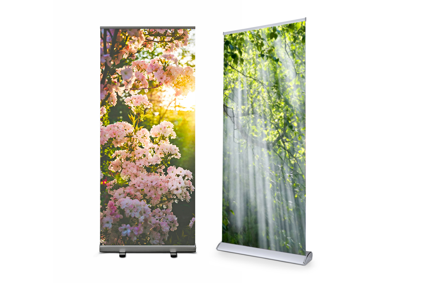 Roll Up banner