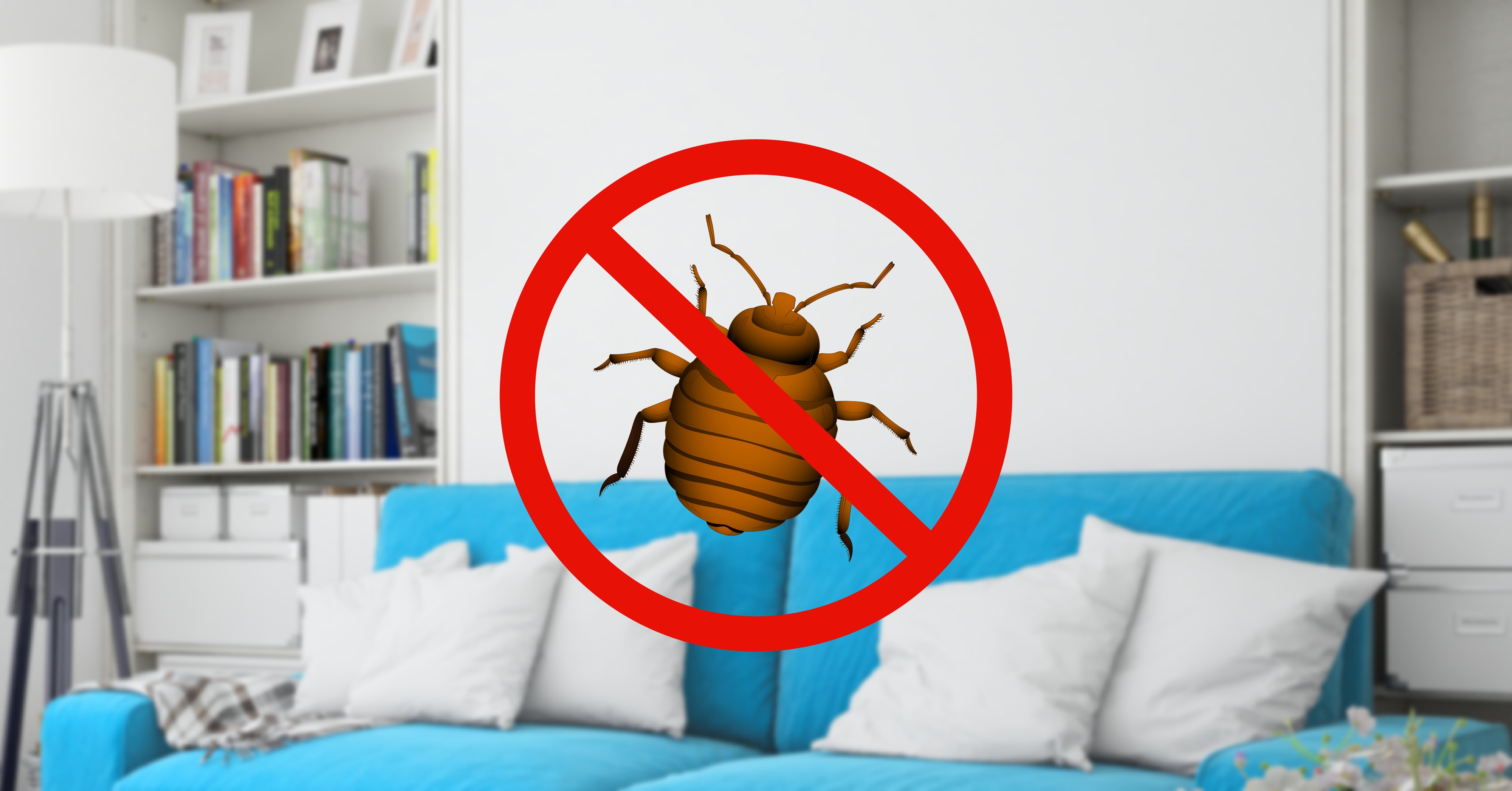 ZBAVSEJICH - deratizace a dezinsekce foto 3