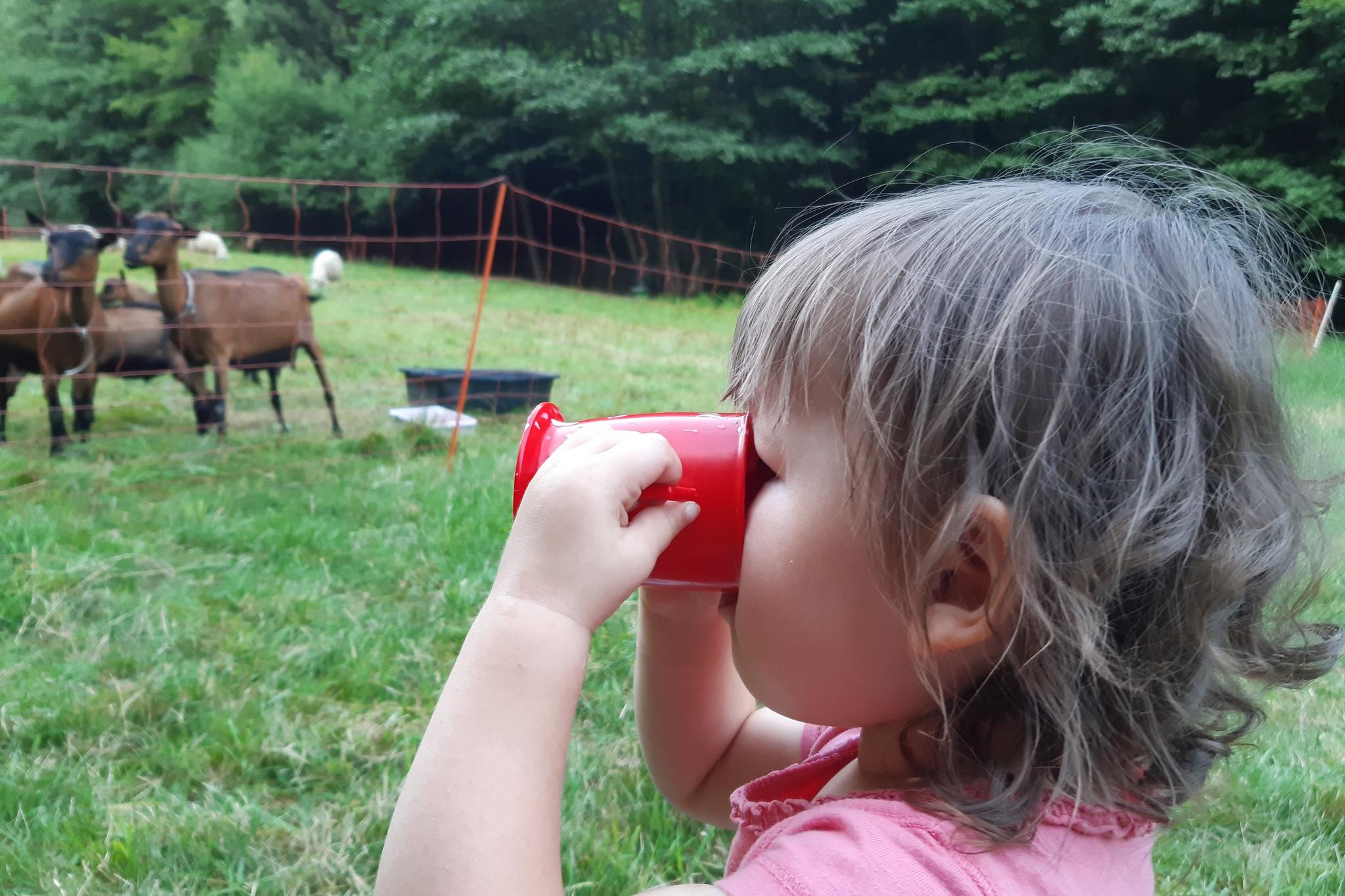 Hospodářství Nad Křetínkou