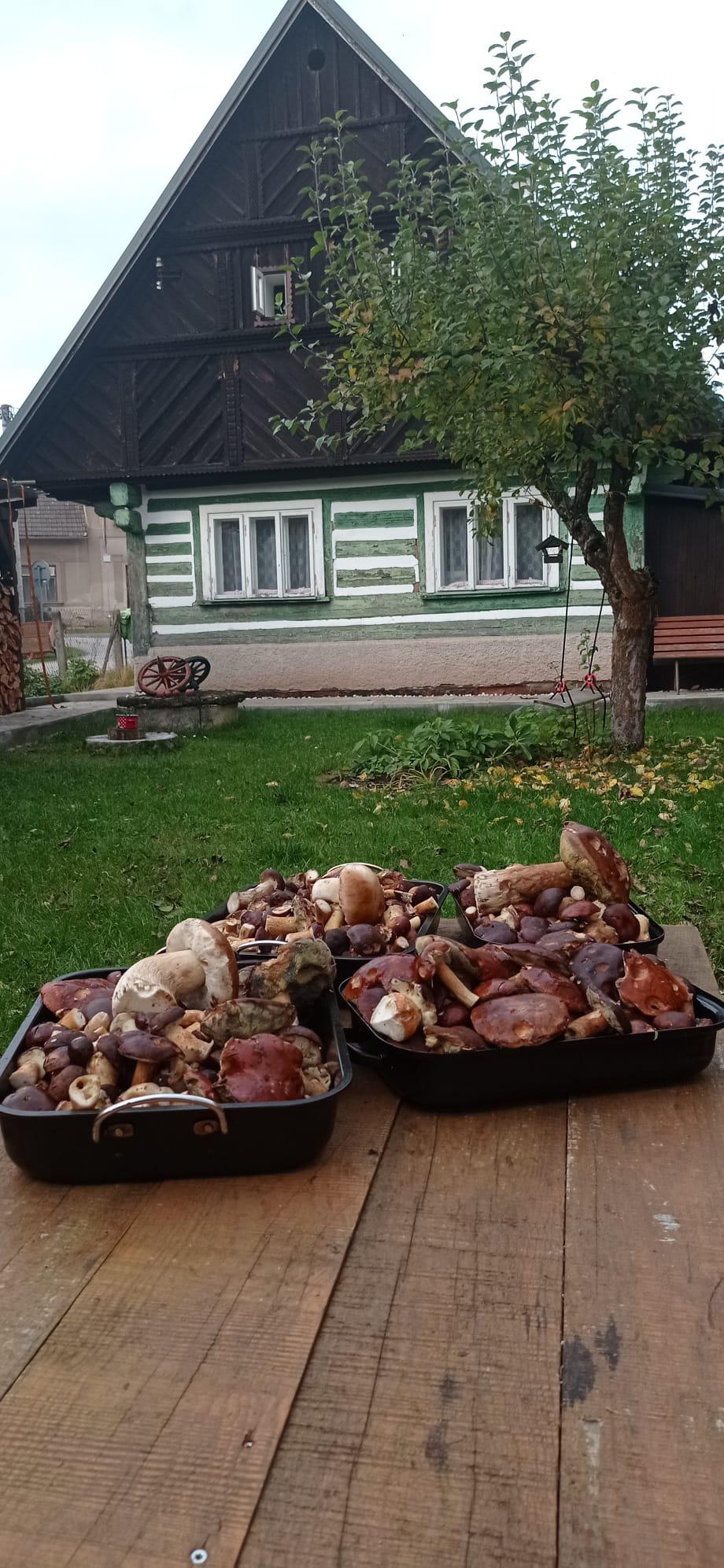 Chalupa U Morise foto 3