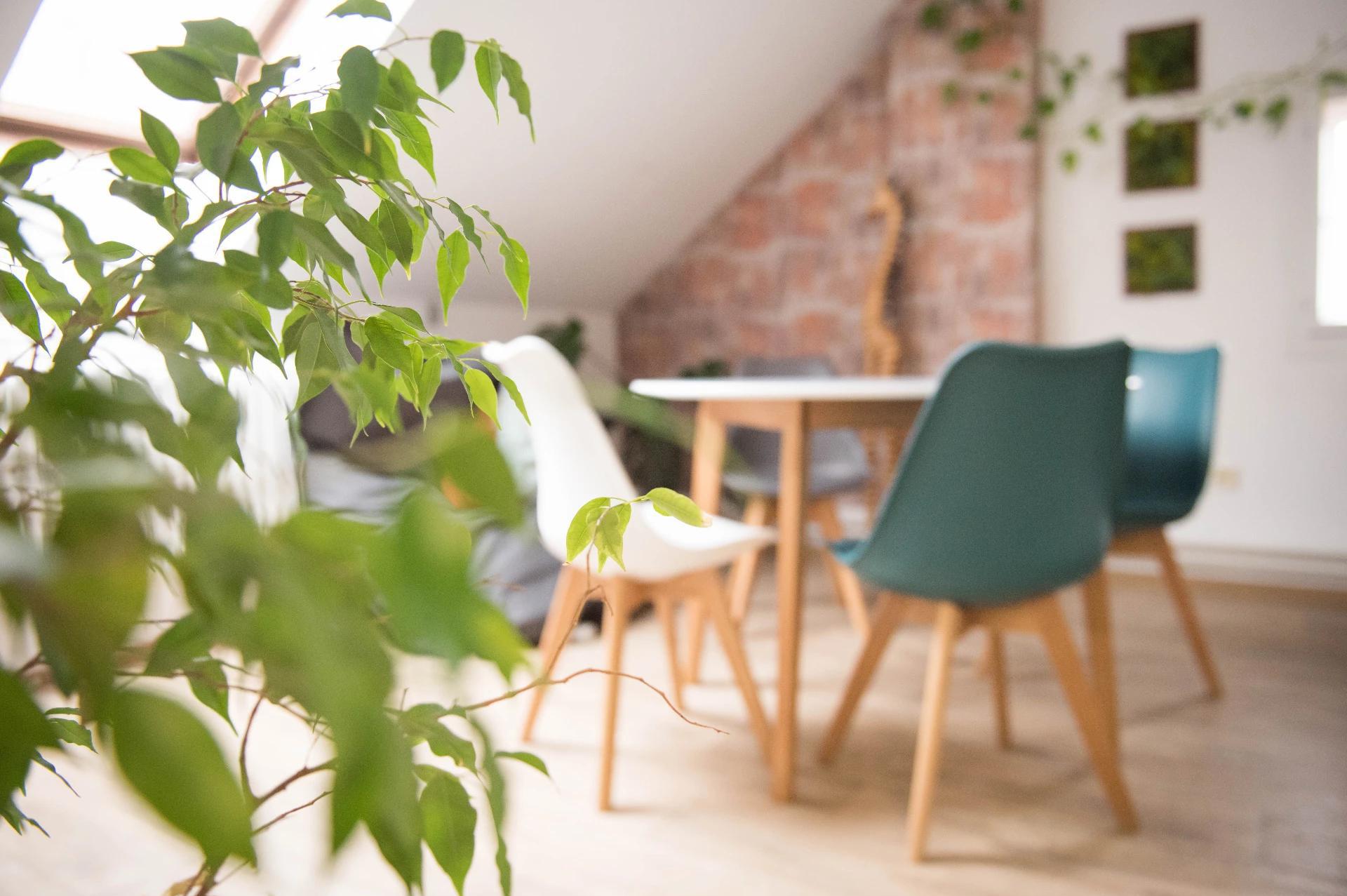 Osobní poradenství a tanec Mgr. Anna Hrochová