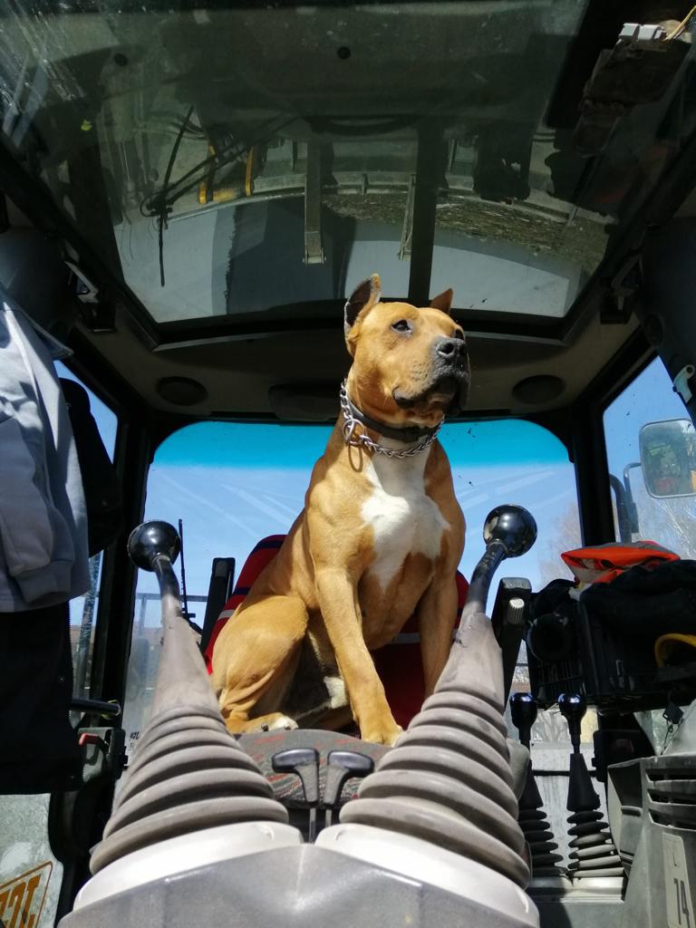 Jan Uhlíř, zemní a výkopové práce bagrem foto 4