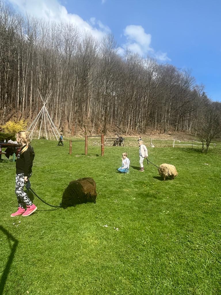 Ranč V Údolí foto 6