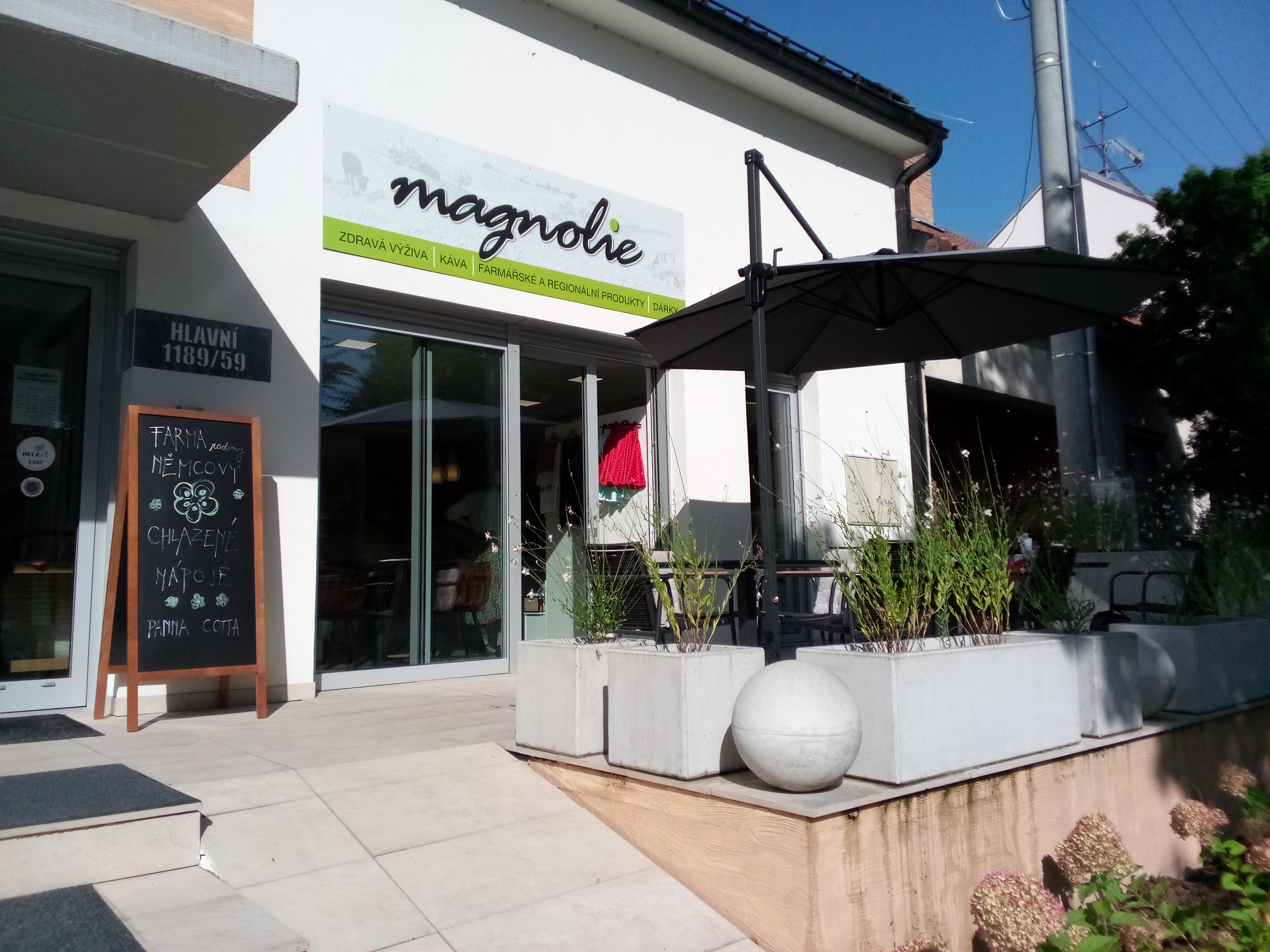 Magnolie - zdravá výživa foto 4