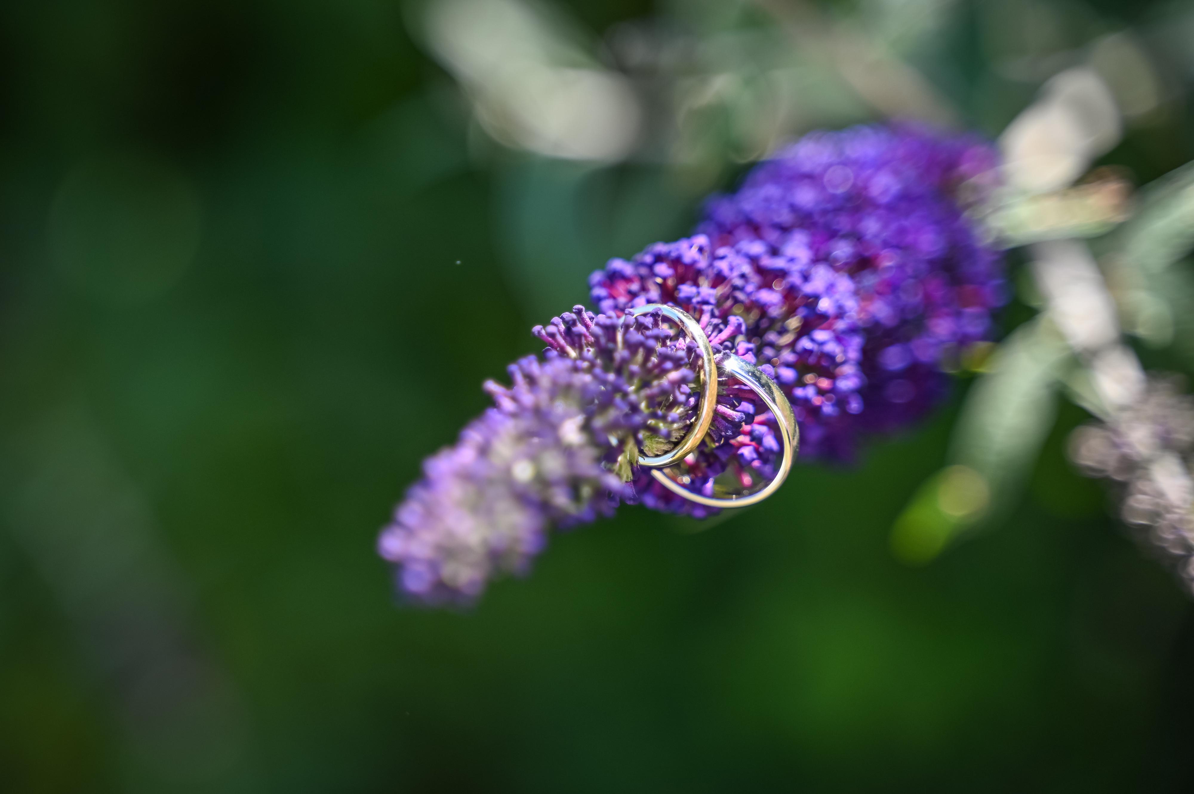 Věra Lukešová svatební fotograf foto 2