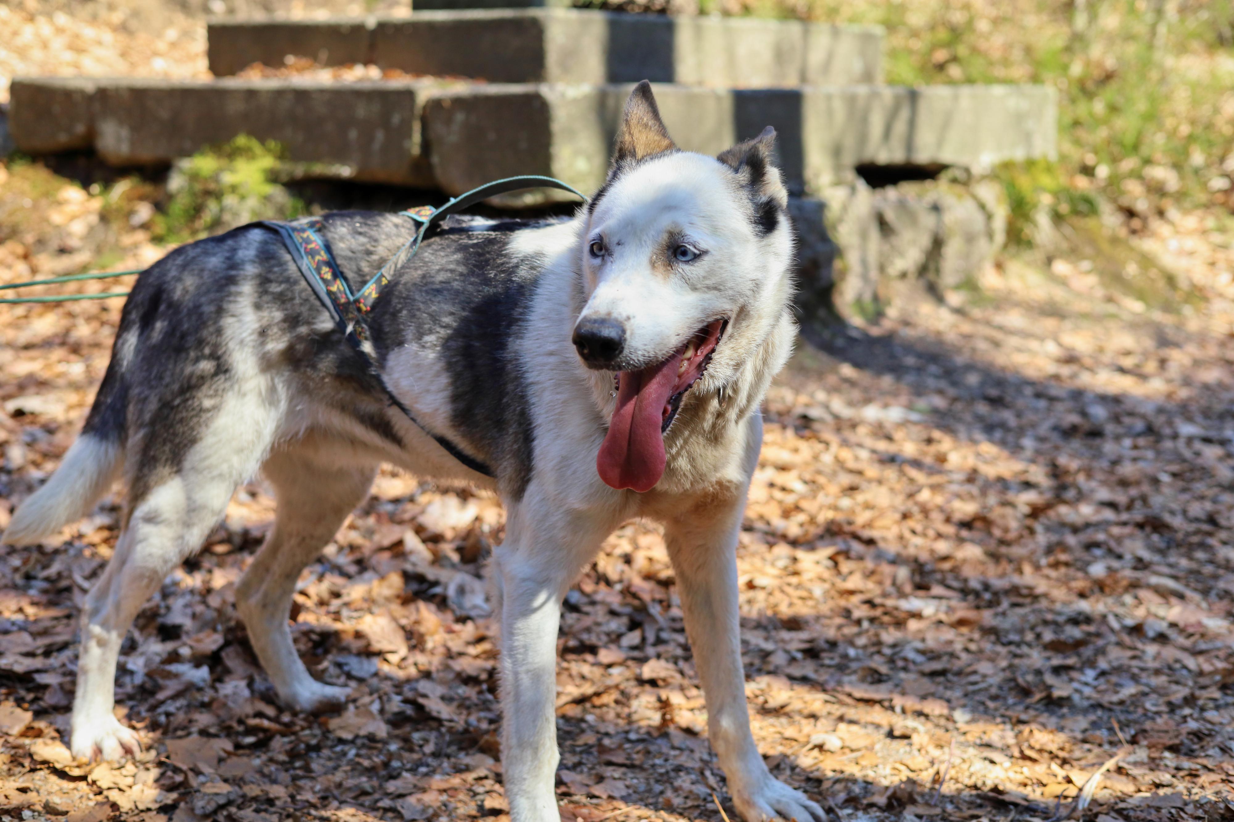 Rodney Scott Lovette foto 1