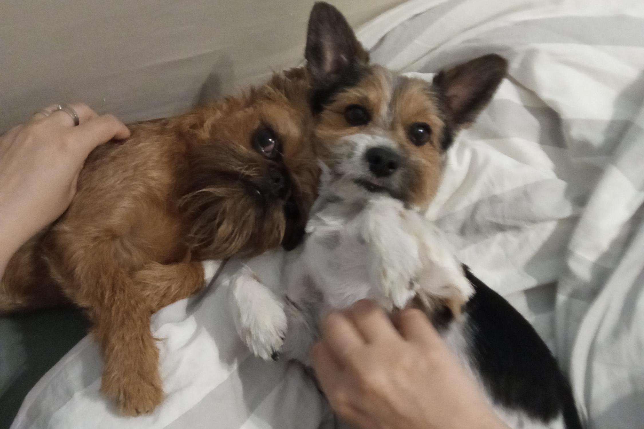 Salon Piškotek - Katarína Musilová