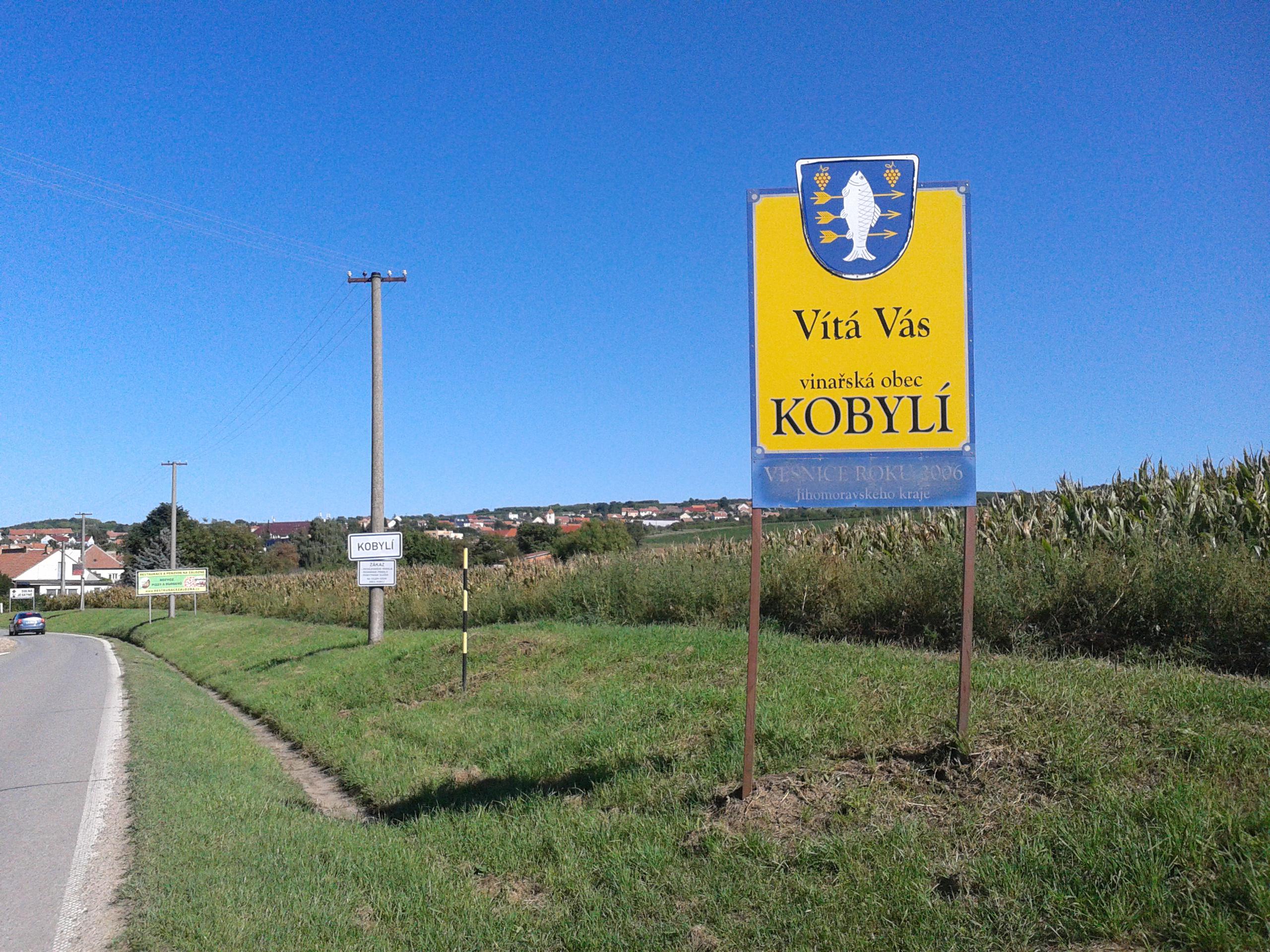 Víno z Kobylí foto 4