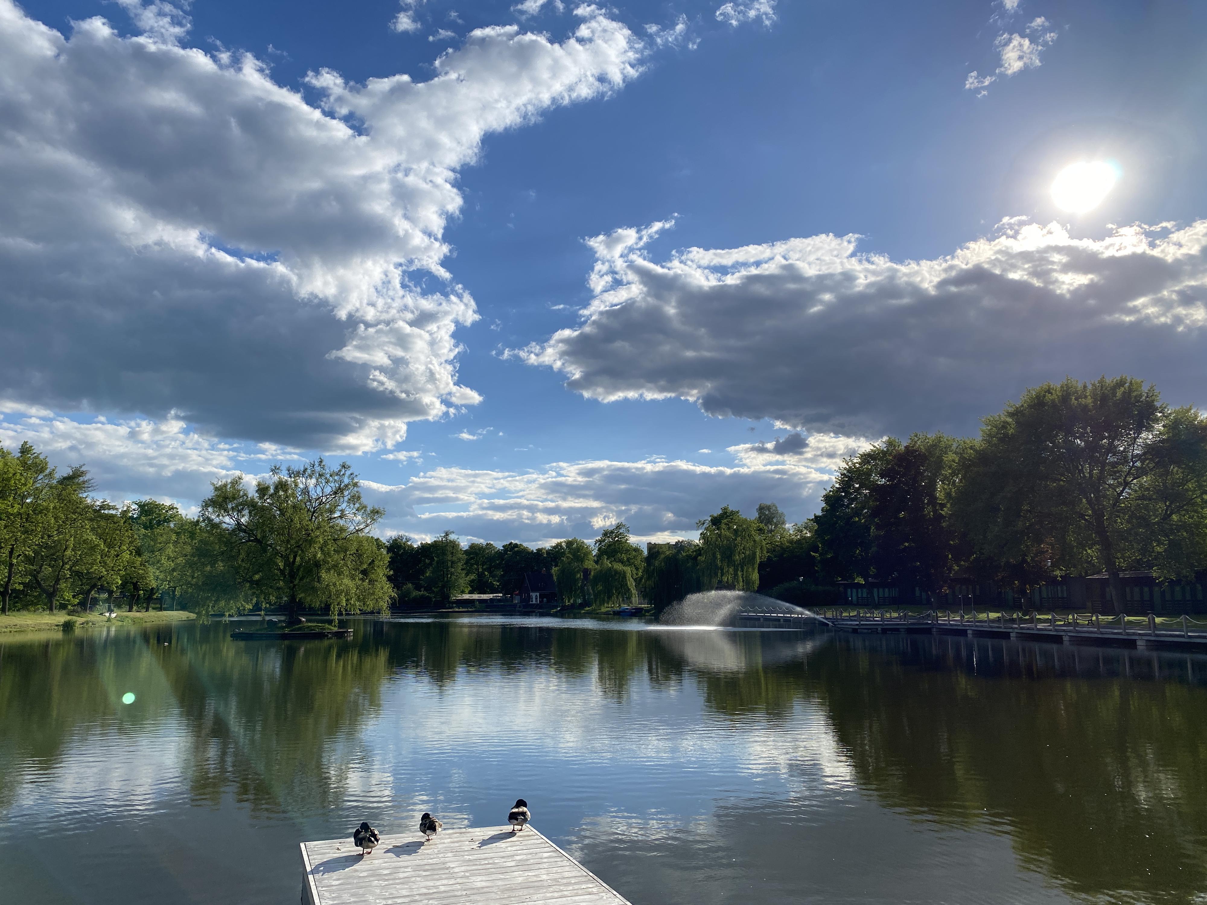 Tyršovo koupaliště (TYRŠÁK) foto 3