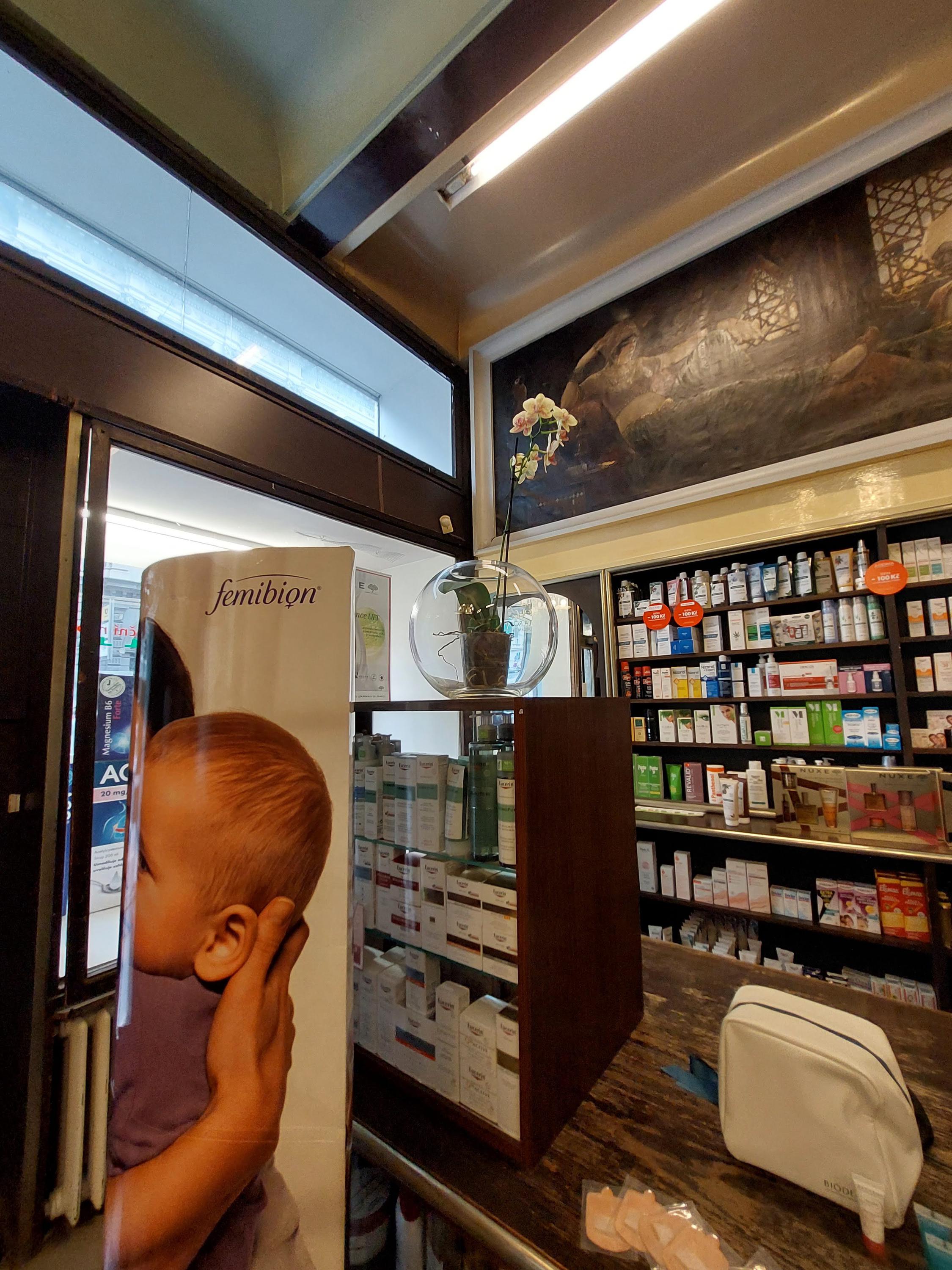 Lékárna U Palmy foto 3